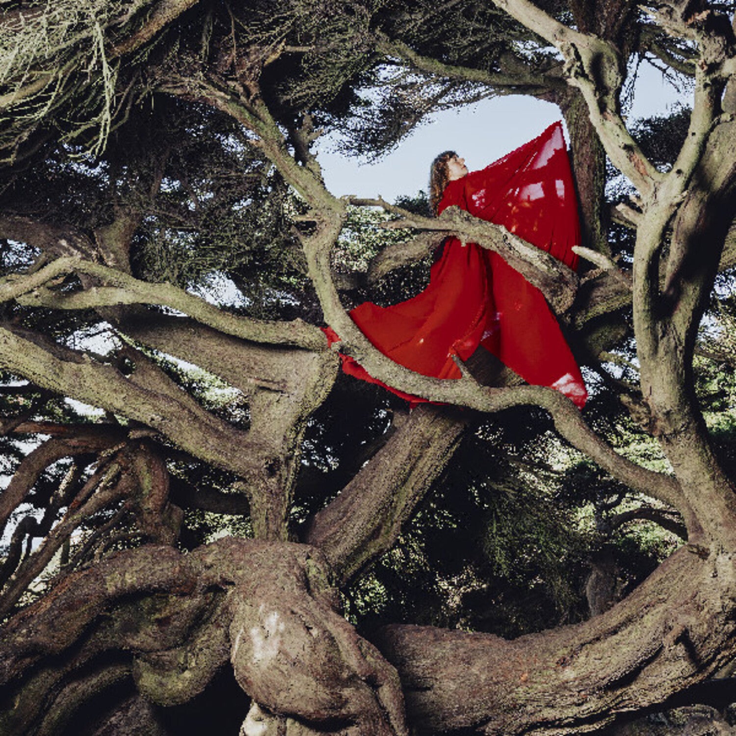 Hannah Frances - Nested In Tangles (Red Vinyl)