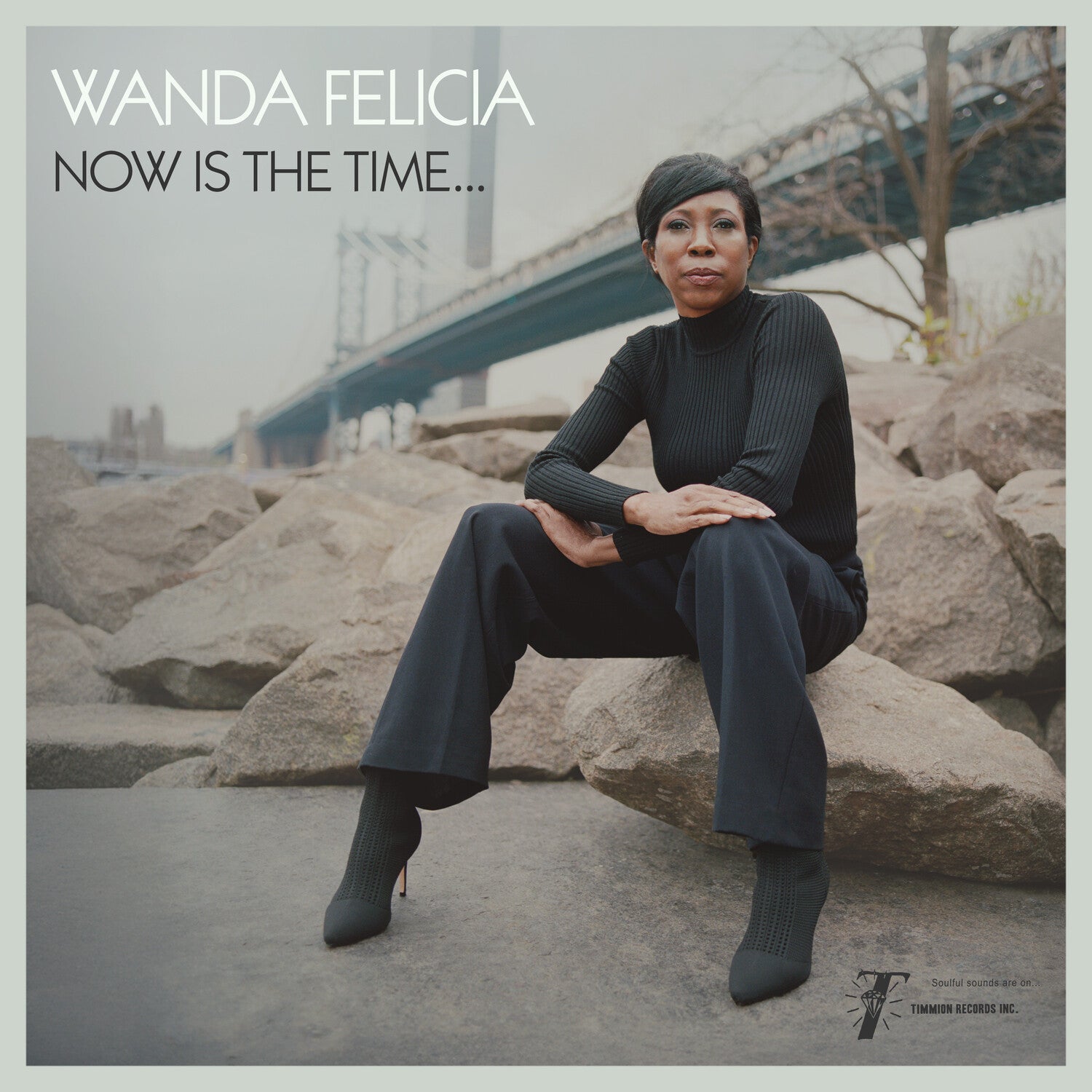 Wanda Felicia / Cold Diamond & Mink - Now Is the Time (Pink Vinyl)