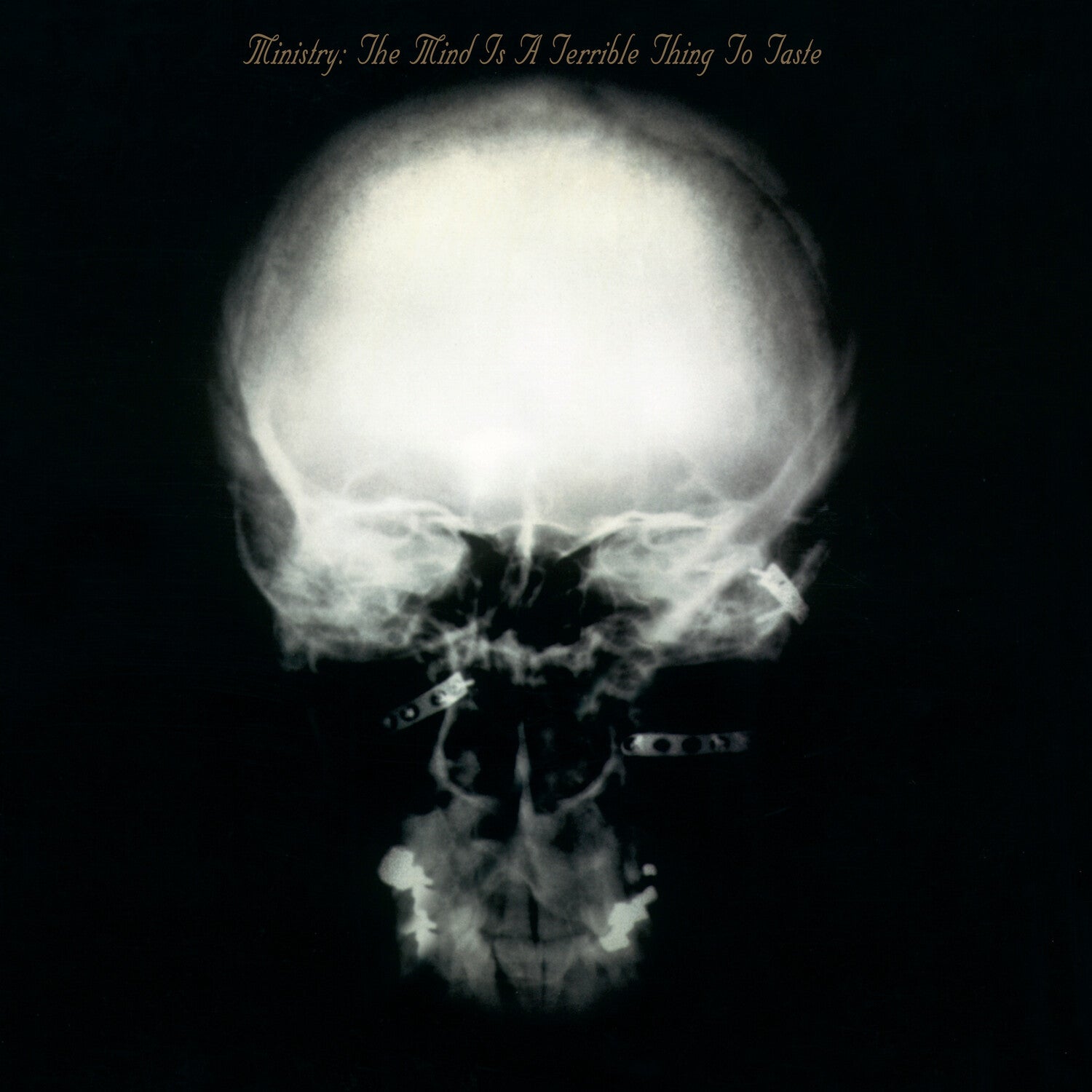 Ministry - The Mind Is A Terrible Thing To Taste 2xLP (Expanded)
