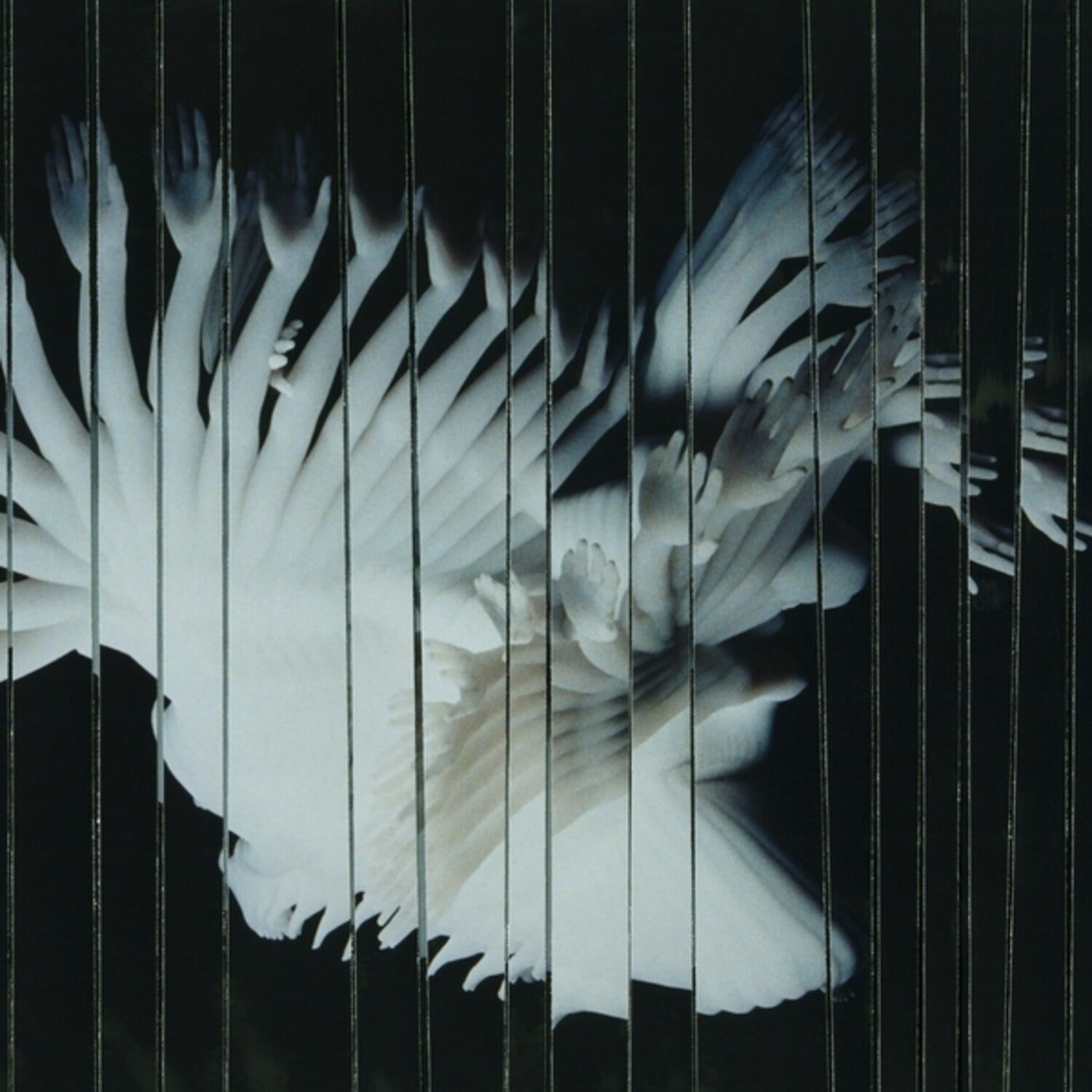 Scaler - Endlessly (CD)