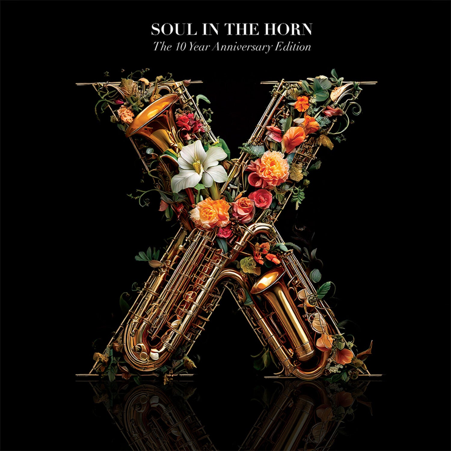 Various Artists - Soul In The Horn - The 10 Year Anniversary (Anniversary Edition)