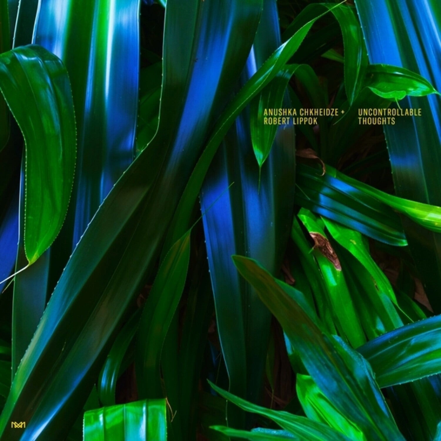 Anushka Chkheidze / Robert Lippok - Uncontrollable Thoughts