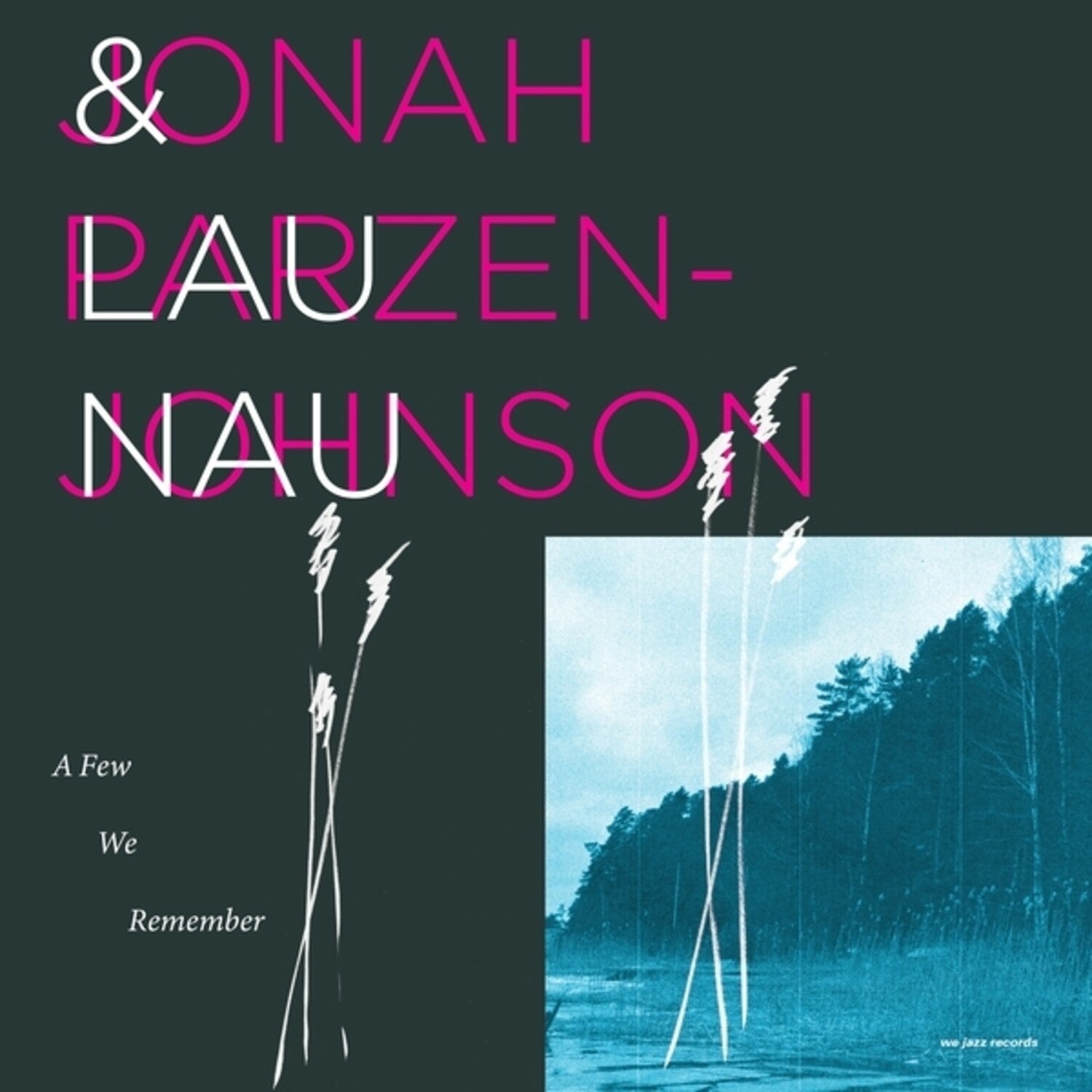 Jonah Parzen-Johnson / Lau Nau - A Few We Remember