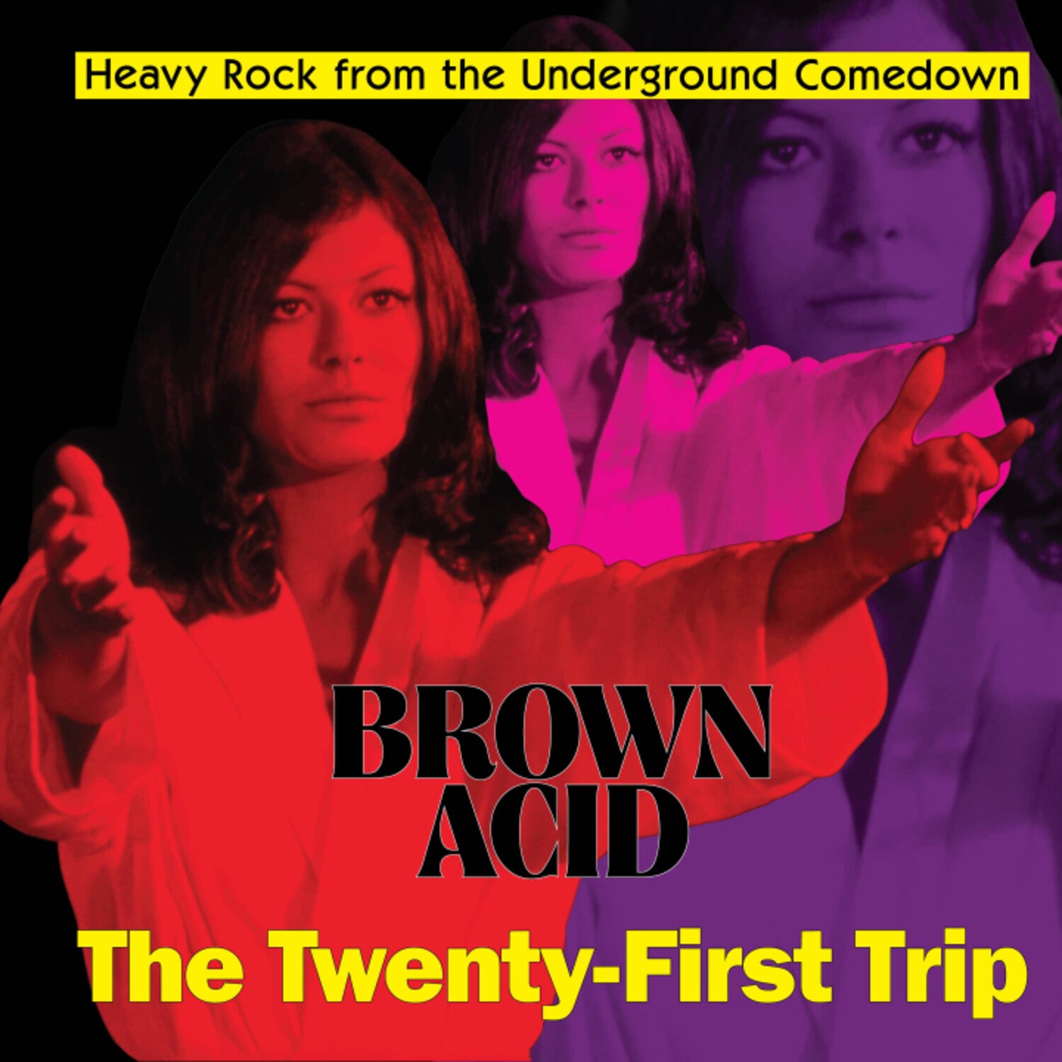Various Artists - Brown Acid - The Twenty-first Trip (CD)