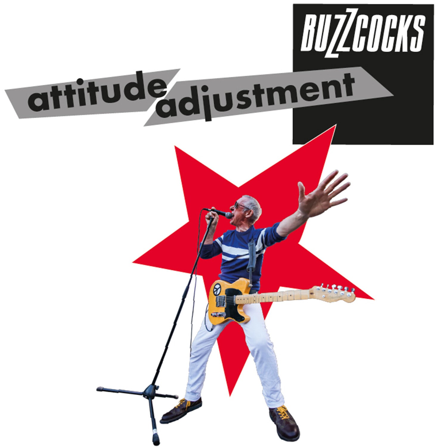 Buzzcocks - Attitude Adjustment (CD)