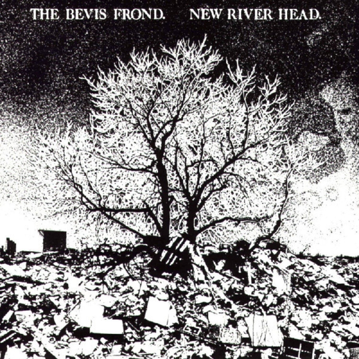 Bevis Frond - New River Head 2xLP