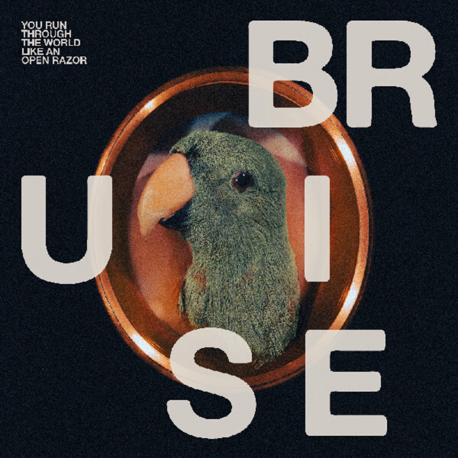 Bruise Blood - You Run Through the World Like An Open Razor