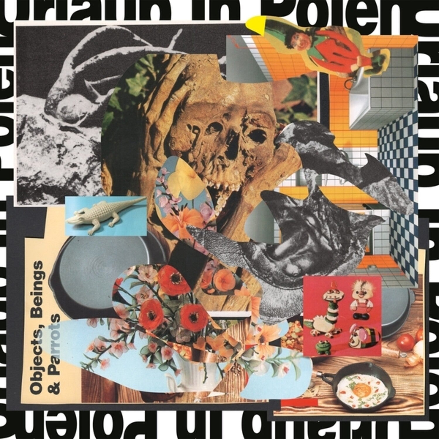 Urlaub in Polen - Objects, Beings And Parrots
