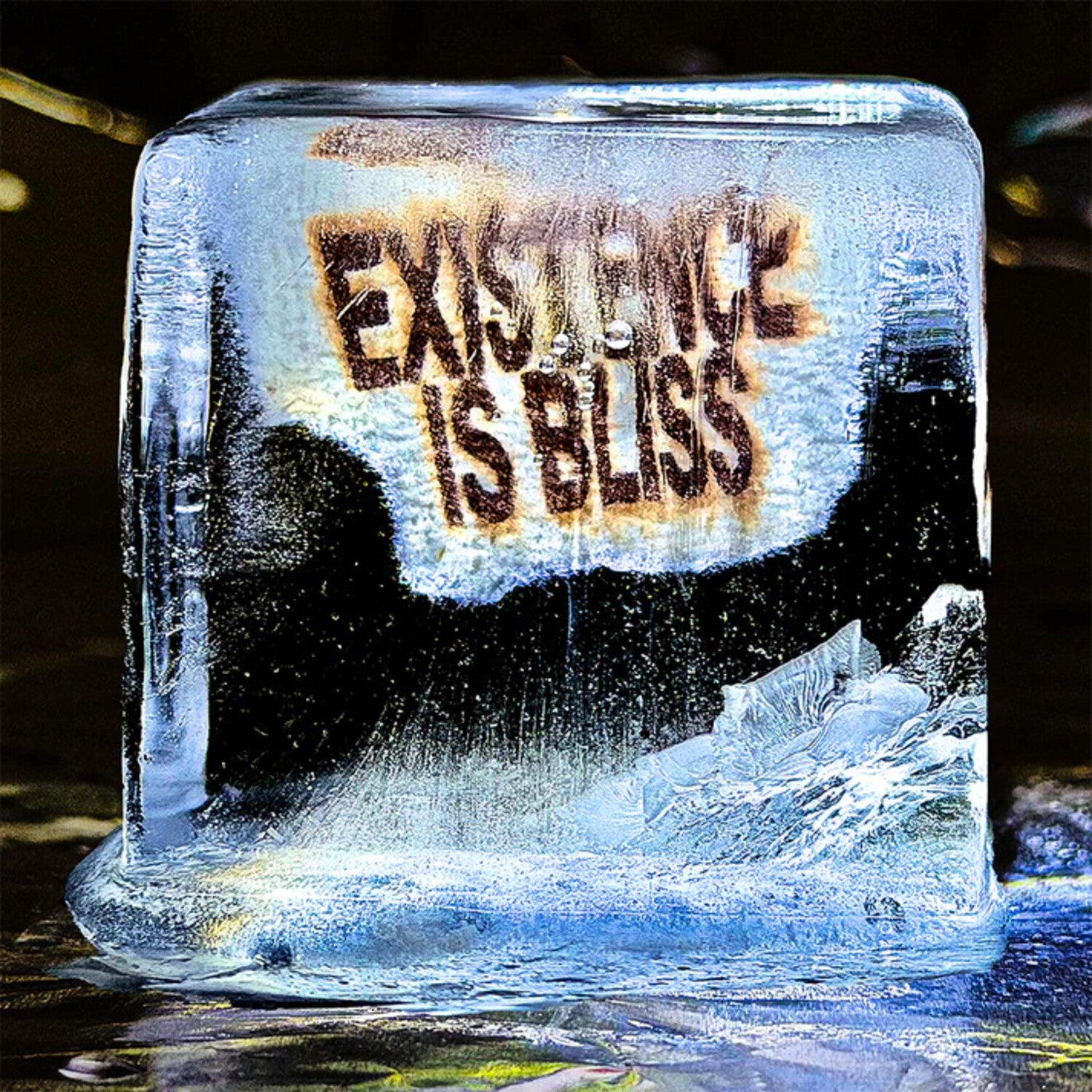 Deadletter - Existence Is Bliss - Autographed Transparent Glitter Colored Vinyl (Clear Vinyl)