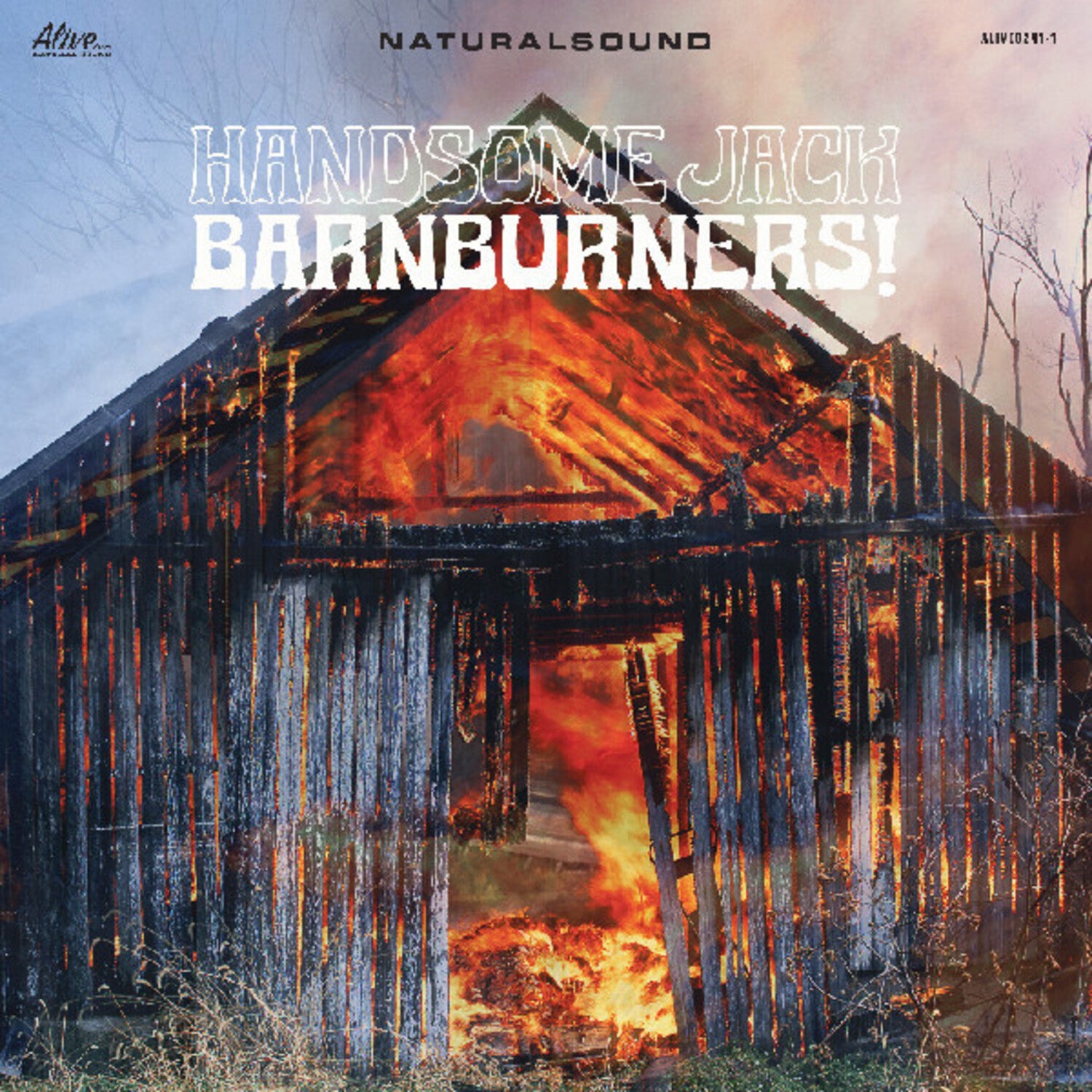 Handsome Jack - Barnburners! (CD)