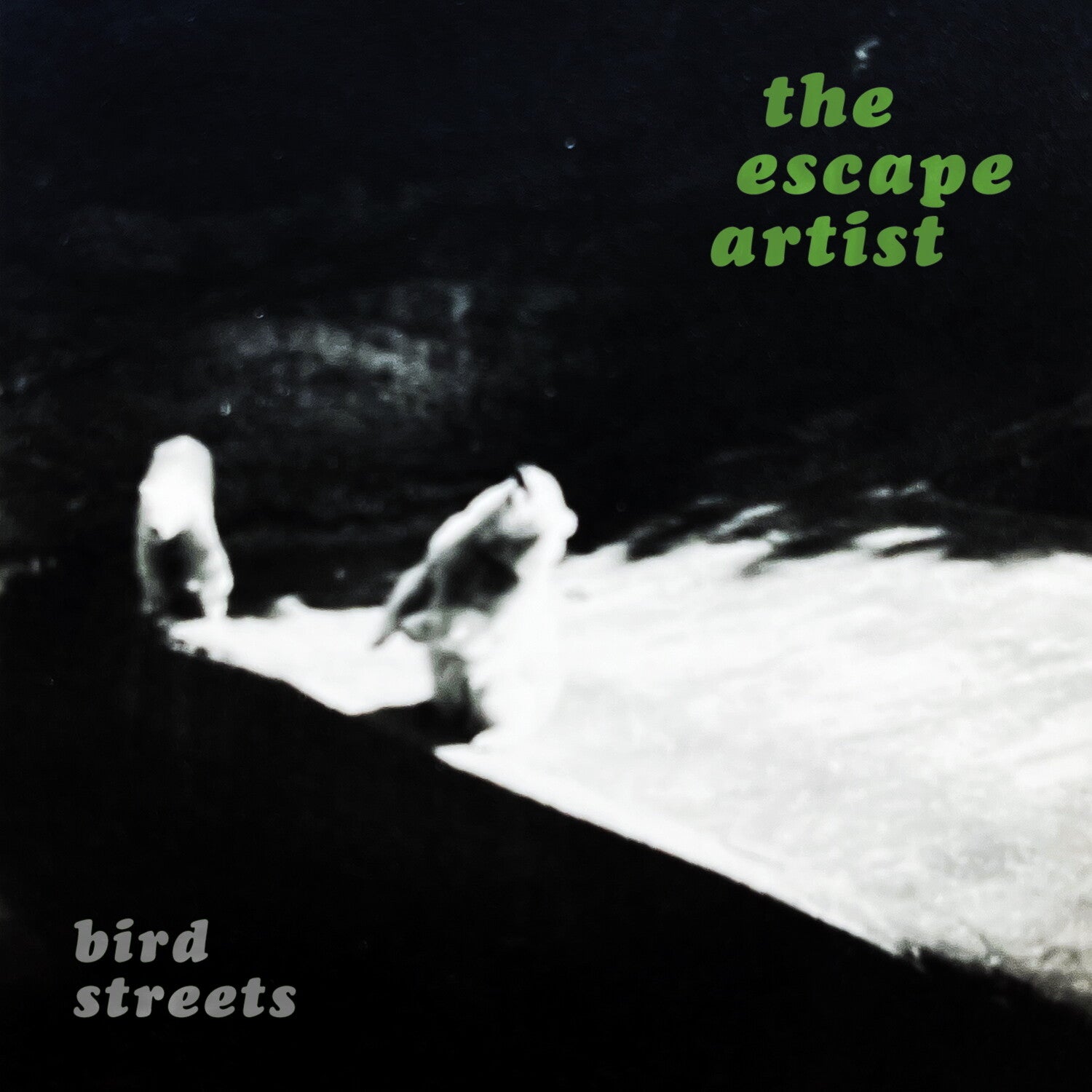 Bird Streets - The Escape Artist (Silver Vinyl)