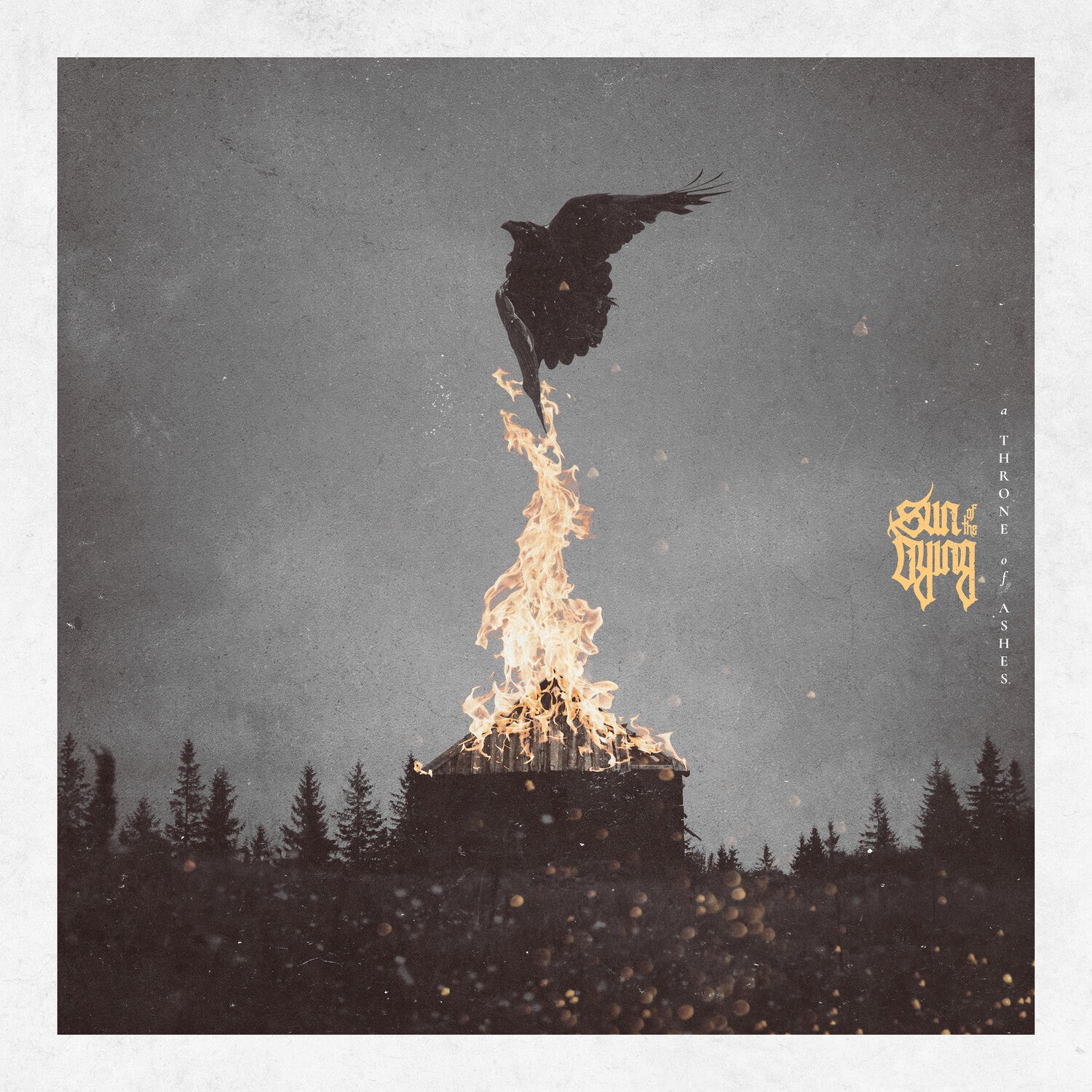 Sun of the Dying - A Throne Of Ashes