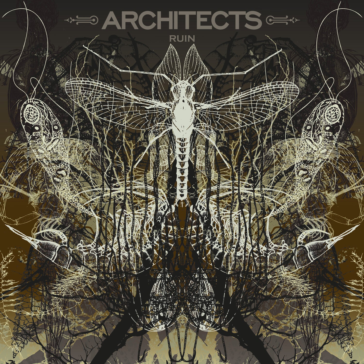 Architects - Ruin (Limited Edition)