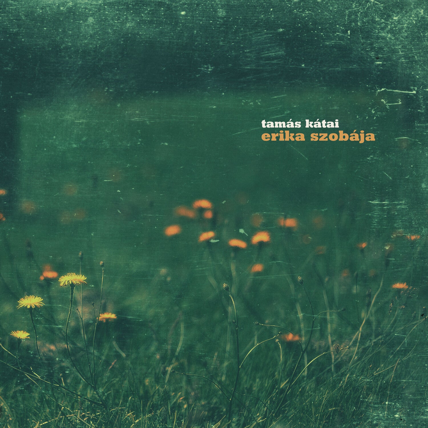 Tamas Katai - Erika Szobaja 2xLP (Clear Vinyl)