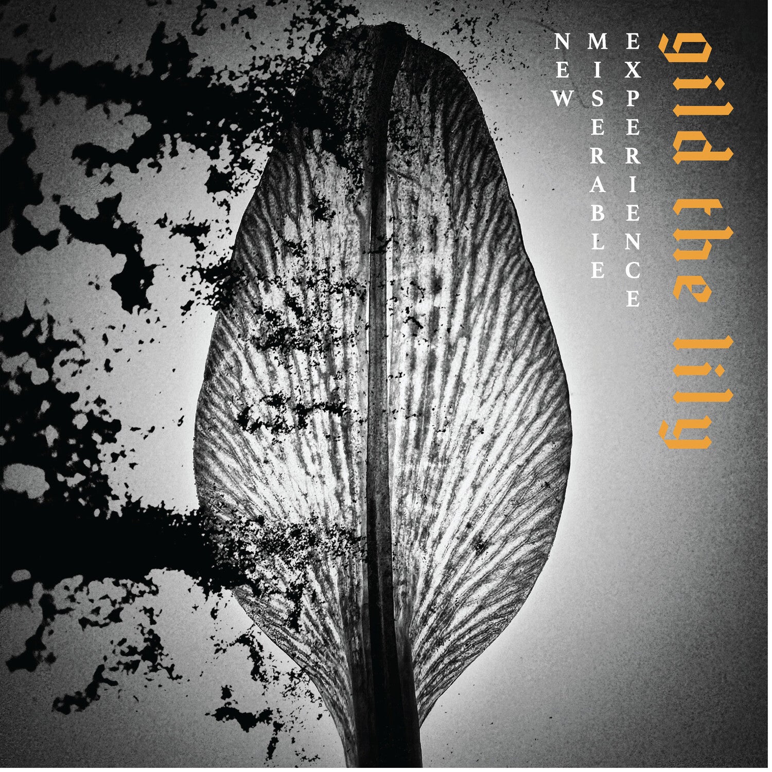 New Miserable Experience - Gild The Lily (CD)