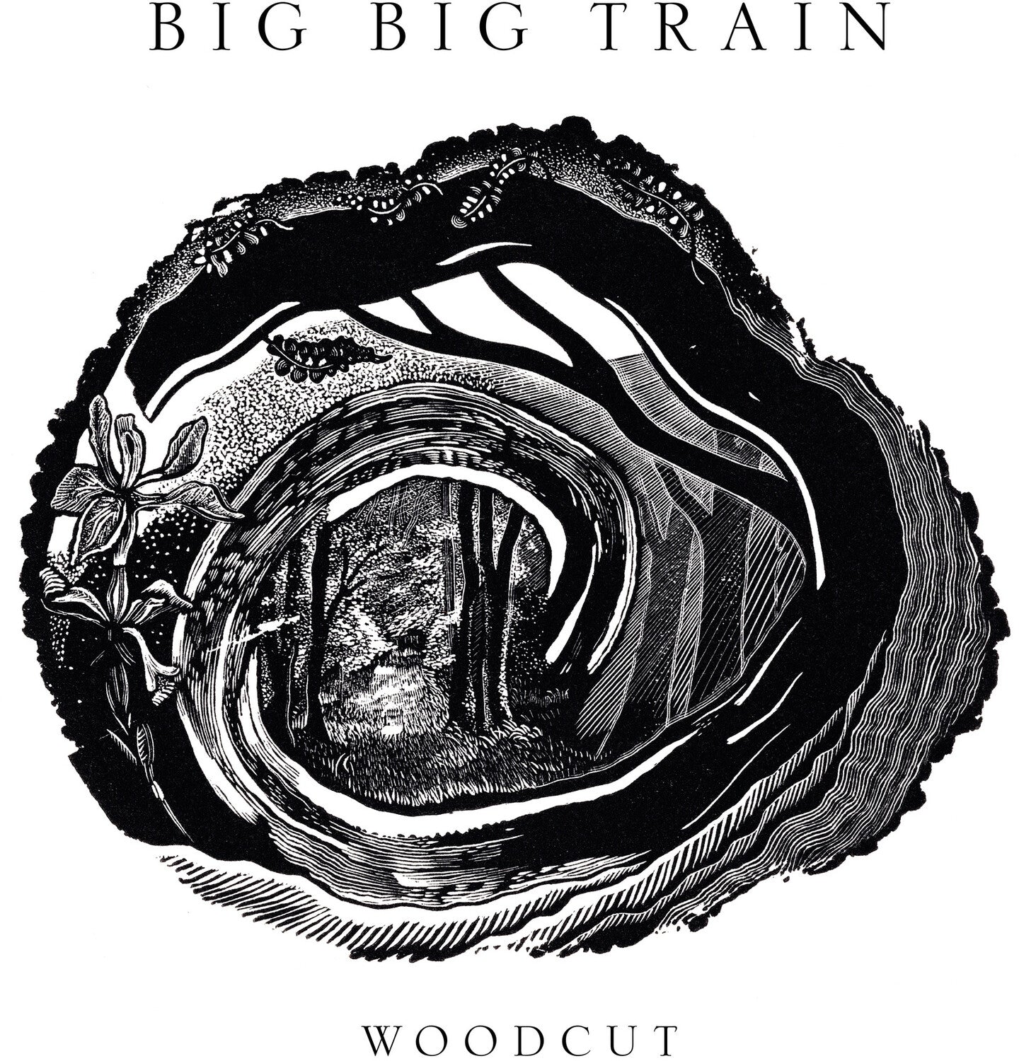 Big Big Train - Woodcut (CD)