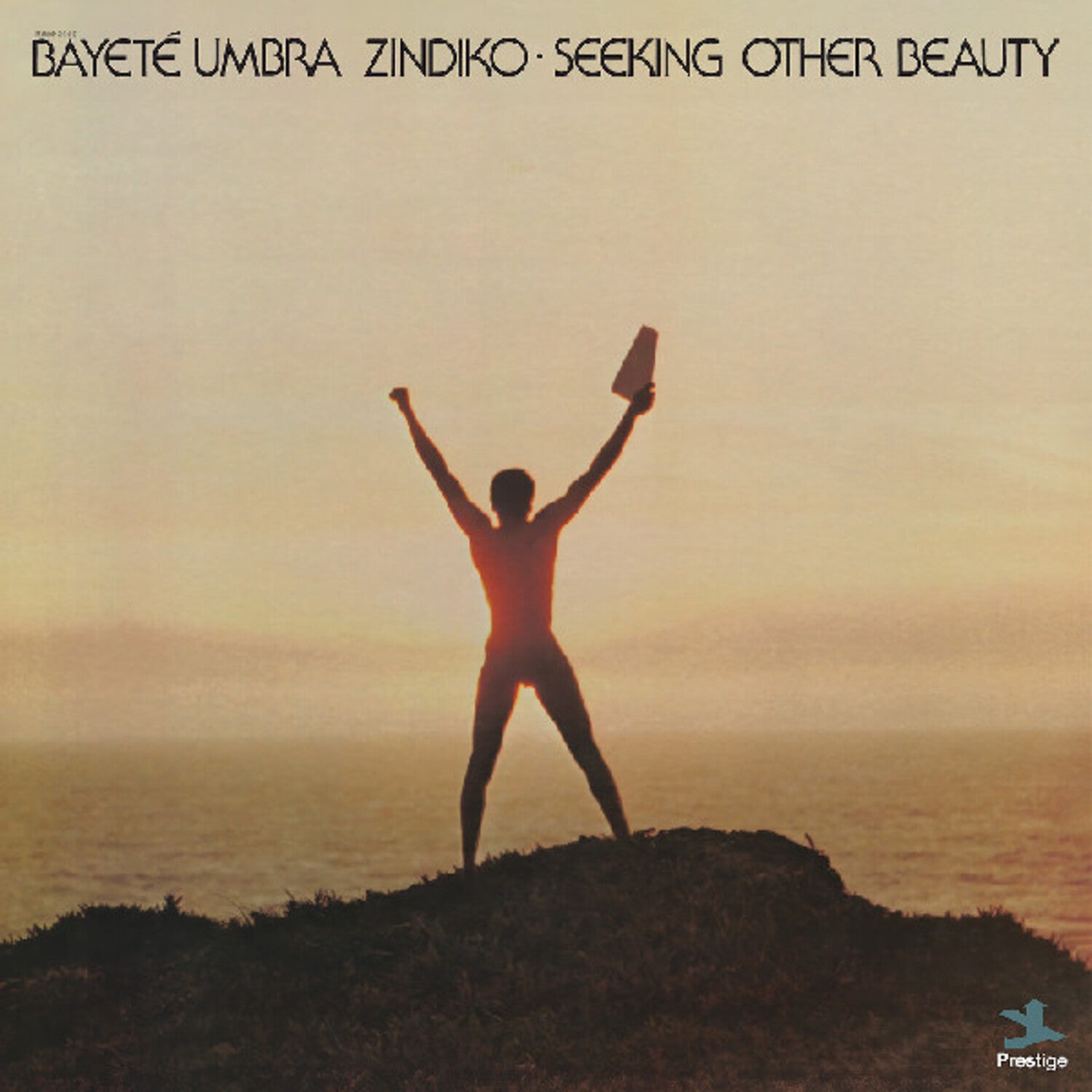 Bayete Umbra Zindiko - Seeking Other Beauty (ALL-ANALOG)