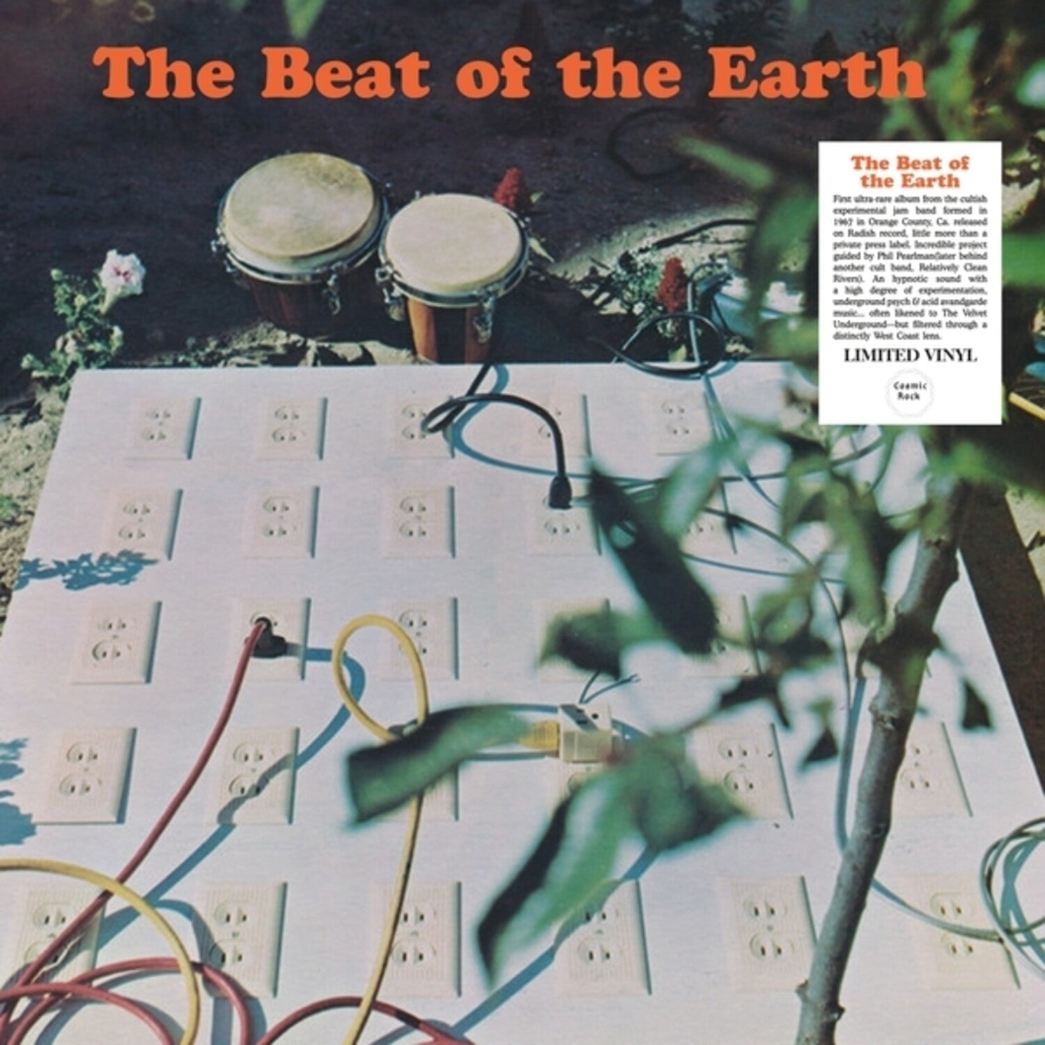 Beat of the Earth - The Beat Of The Earth