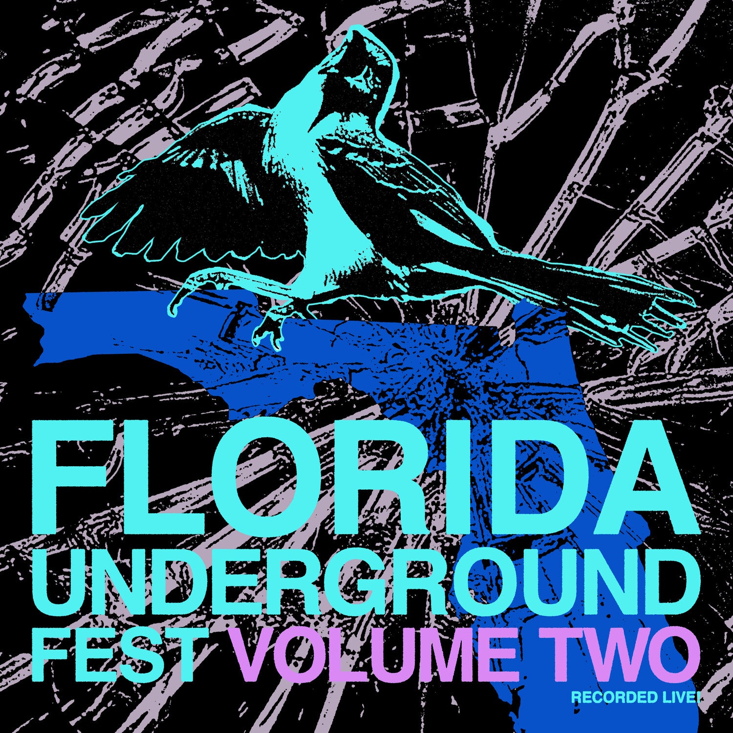 Various Artists - Florida Underground Fest 2