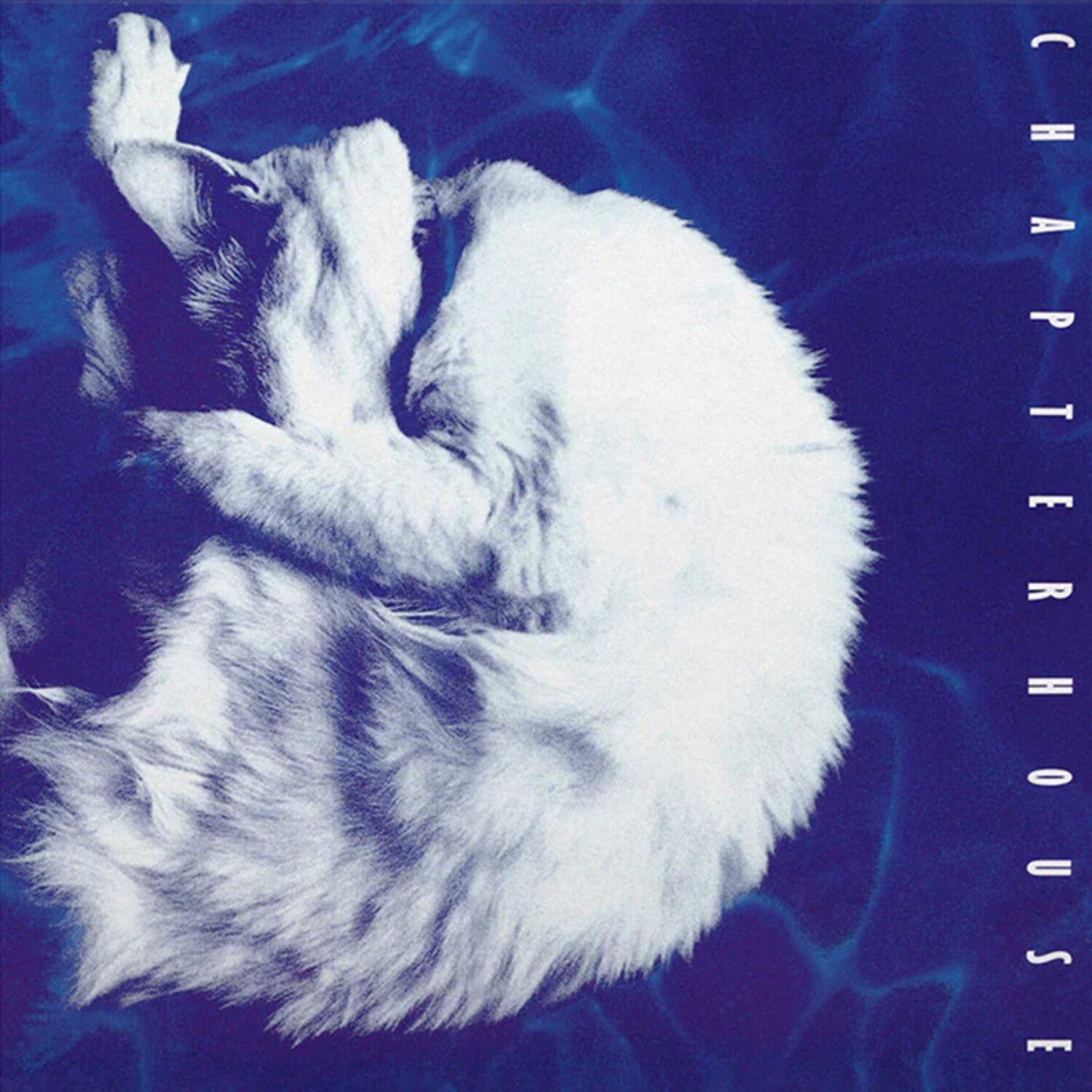 Chapterhouse - Whirlpool - Limited 180-Gram White & Black Marble Colored Vinyl (White Vinyl)