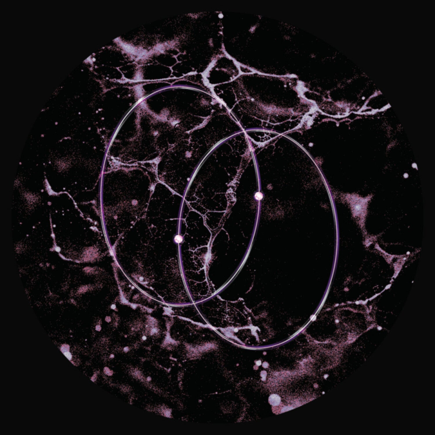 Leo Len - Echolocation