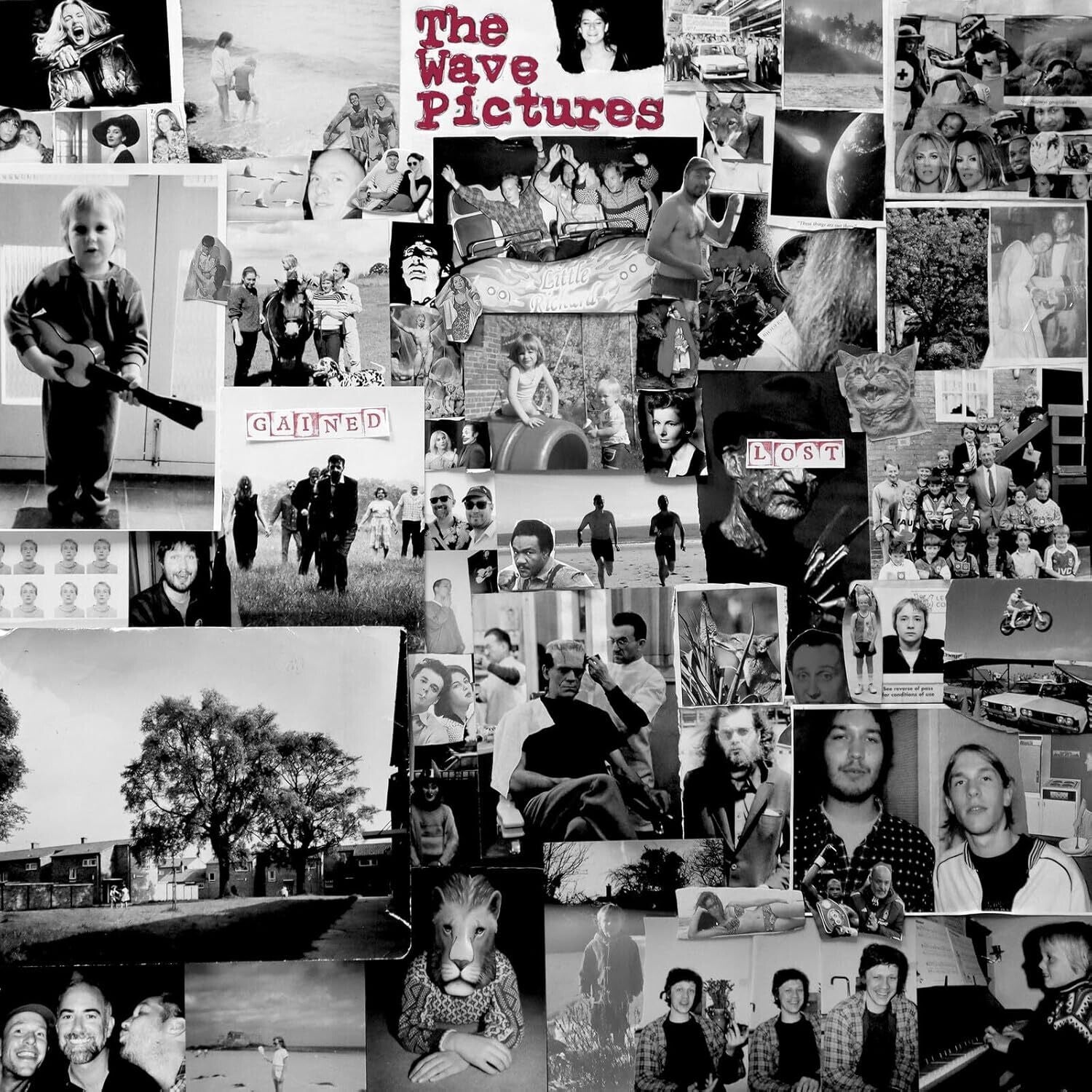 Wave Pictures - Gained/Lost (Pink Vinyl)