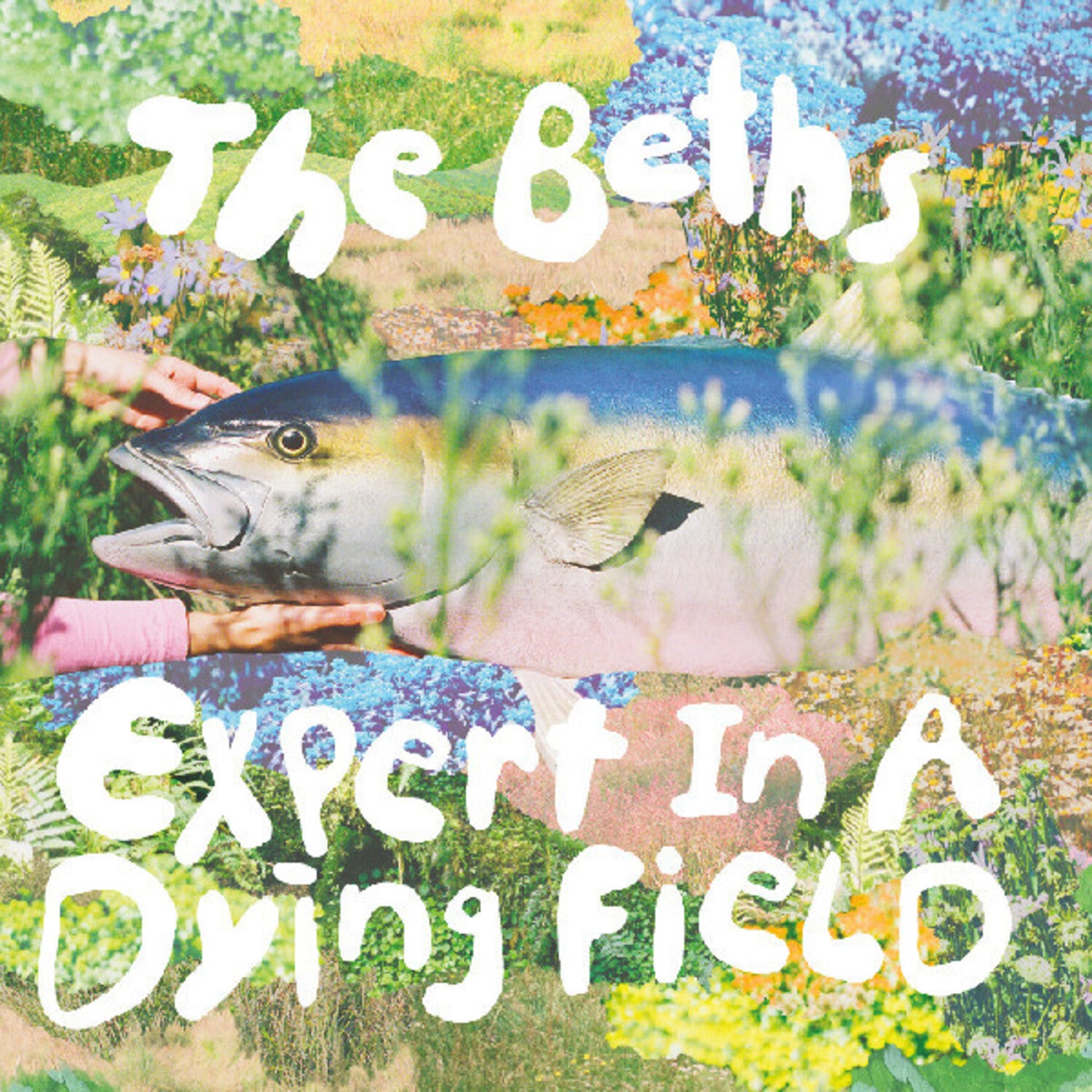 Beths - Expert in a dying field (Blue Vinyl)