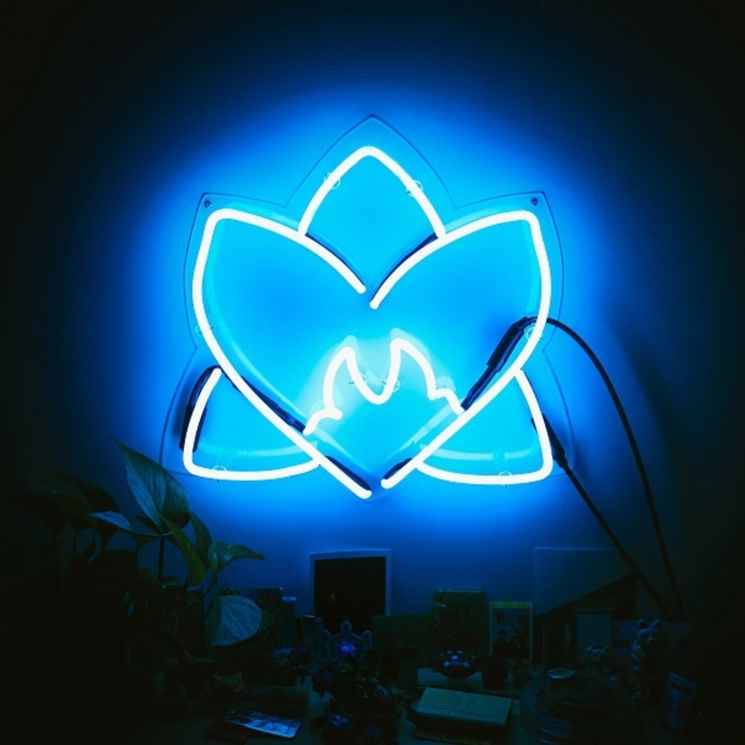 Various Artists - Radiating Light (Various Artist)