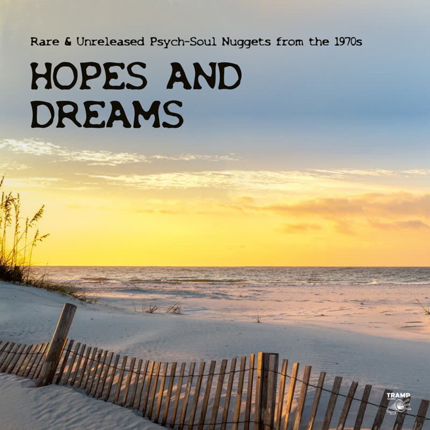 Hopes & Dreams: Rare & Unreleased Psych-Soul / Var - Hopes And Dreams: Rare & Unreleased Psych-Soul Nuggets from the 1970s 2xLP