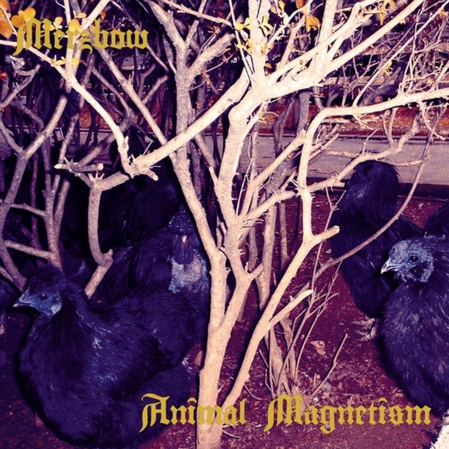 Merzbow - Animal Magnetism 2xLP