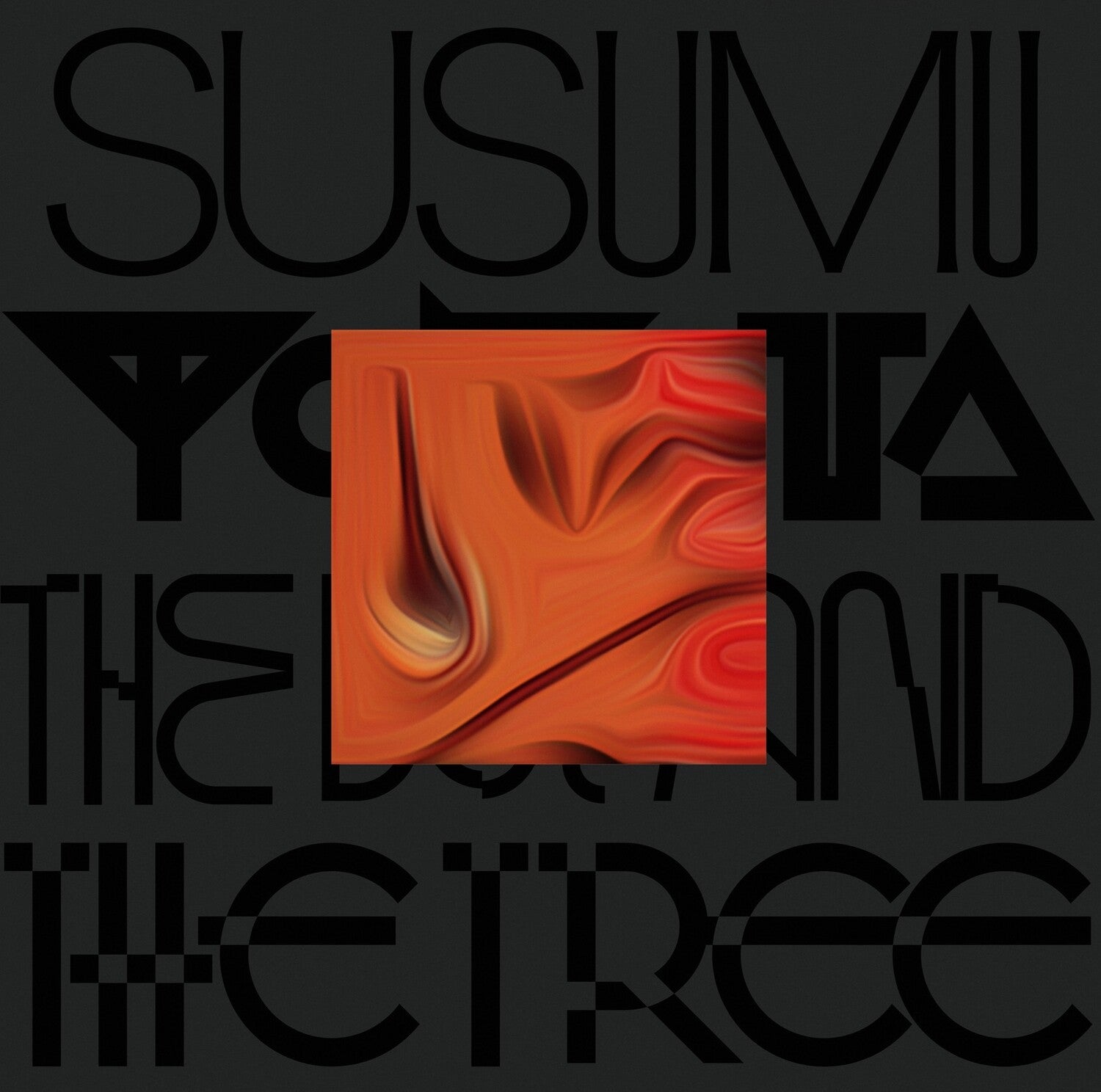 Susumu Yokota - The Boy And The Tree - Skintone 2xLP (Orange Vinyl)