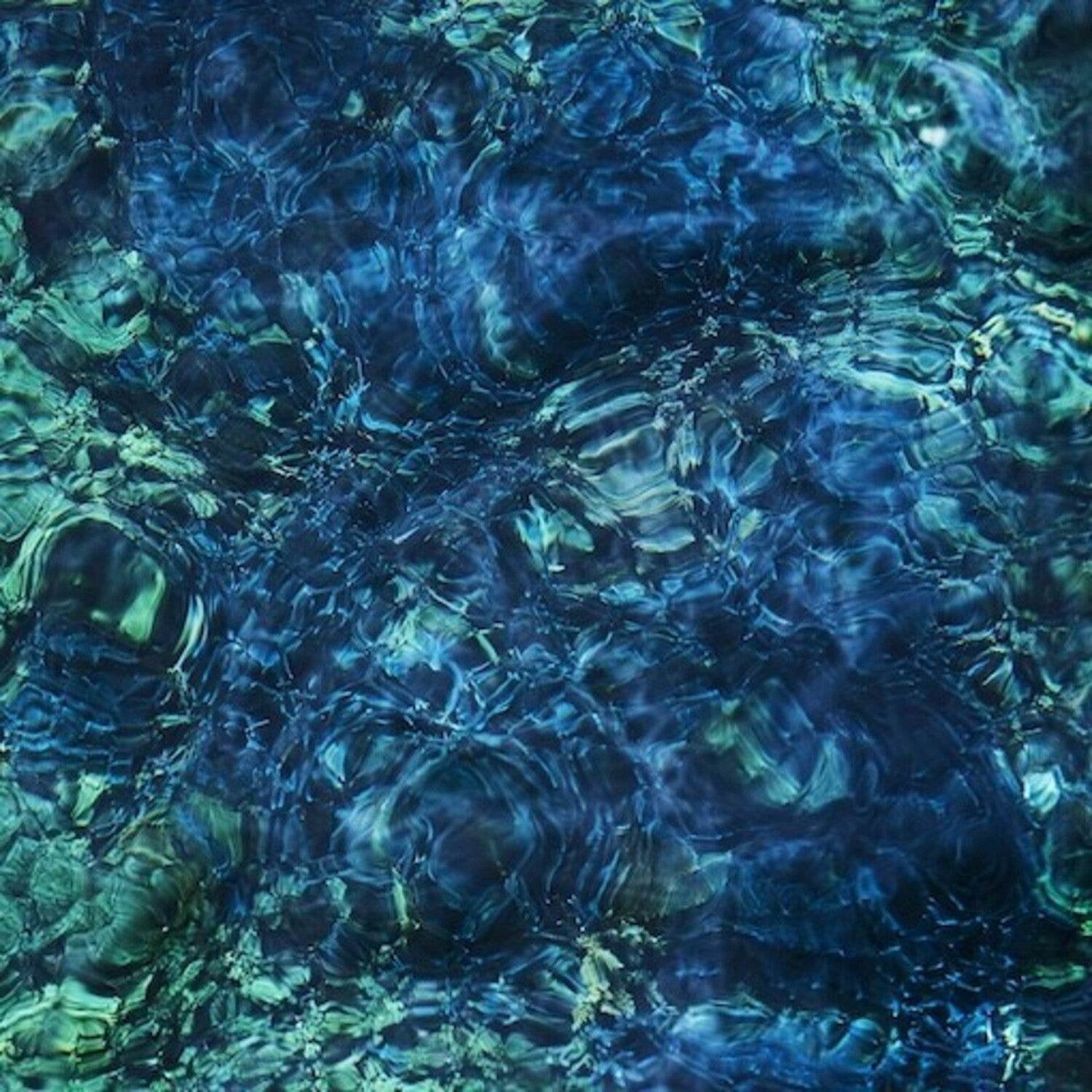 Ichiko Aoba - Luminescent Creatures - Limited (Limited Edition)
