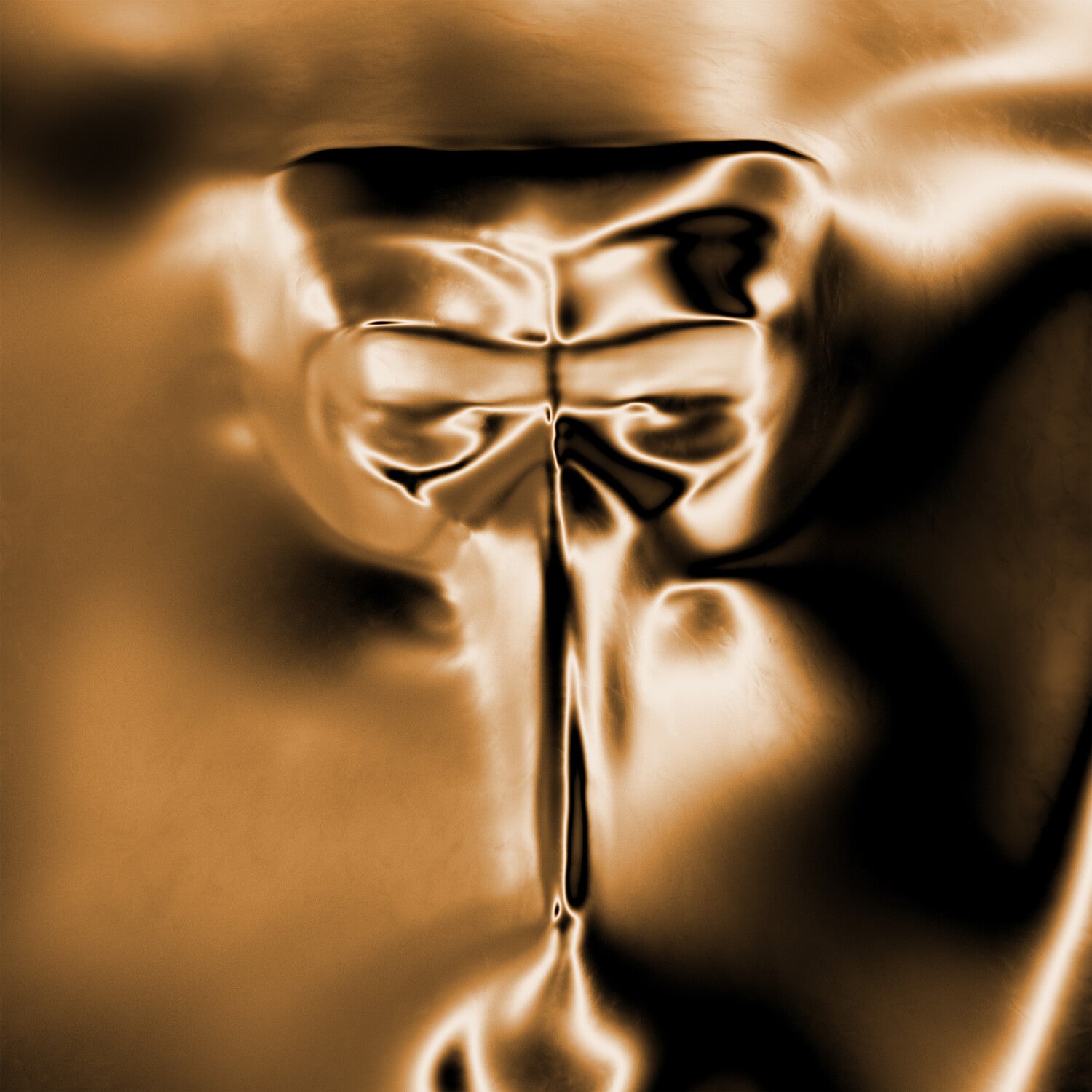 4495798-3610143.jpg