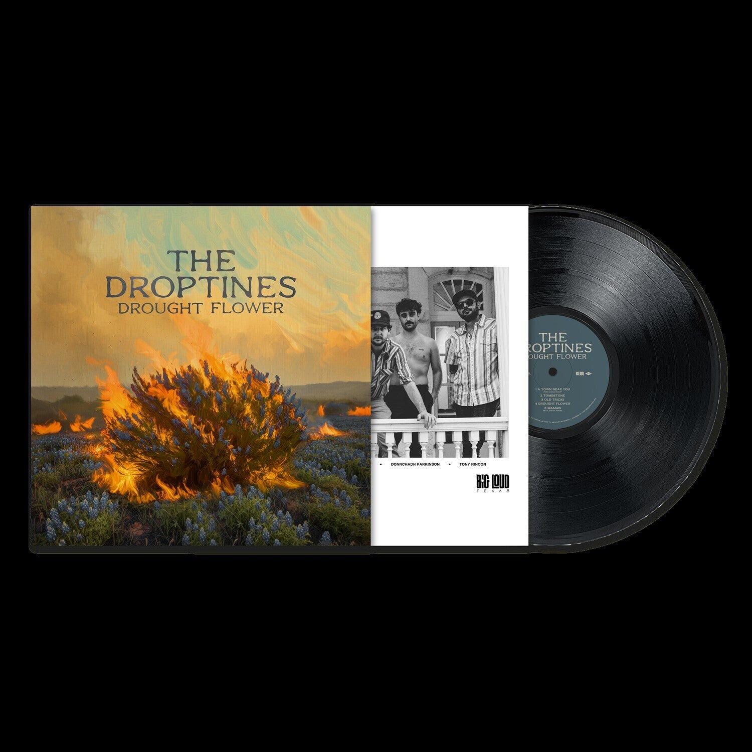 Droptines - Drought Flower