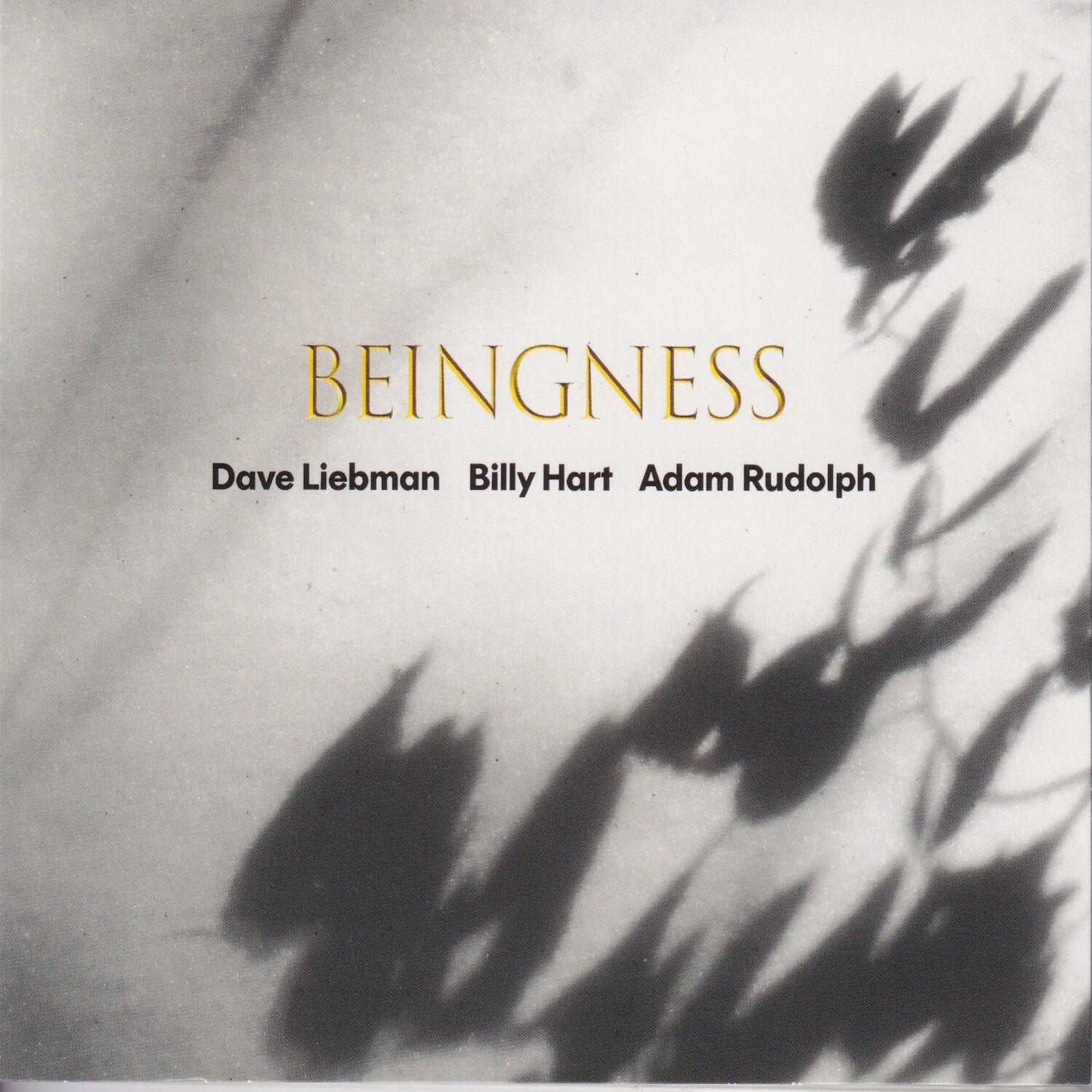 Dave Leibman / Billy Hart / Adam Rudolph - Beingness (Limited Edition)