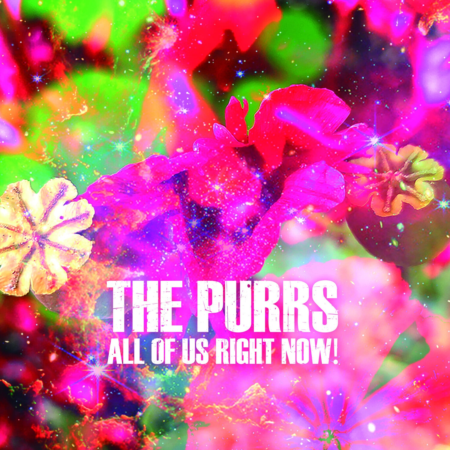 Purrs - All of Us Right Now! (CD)