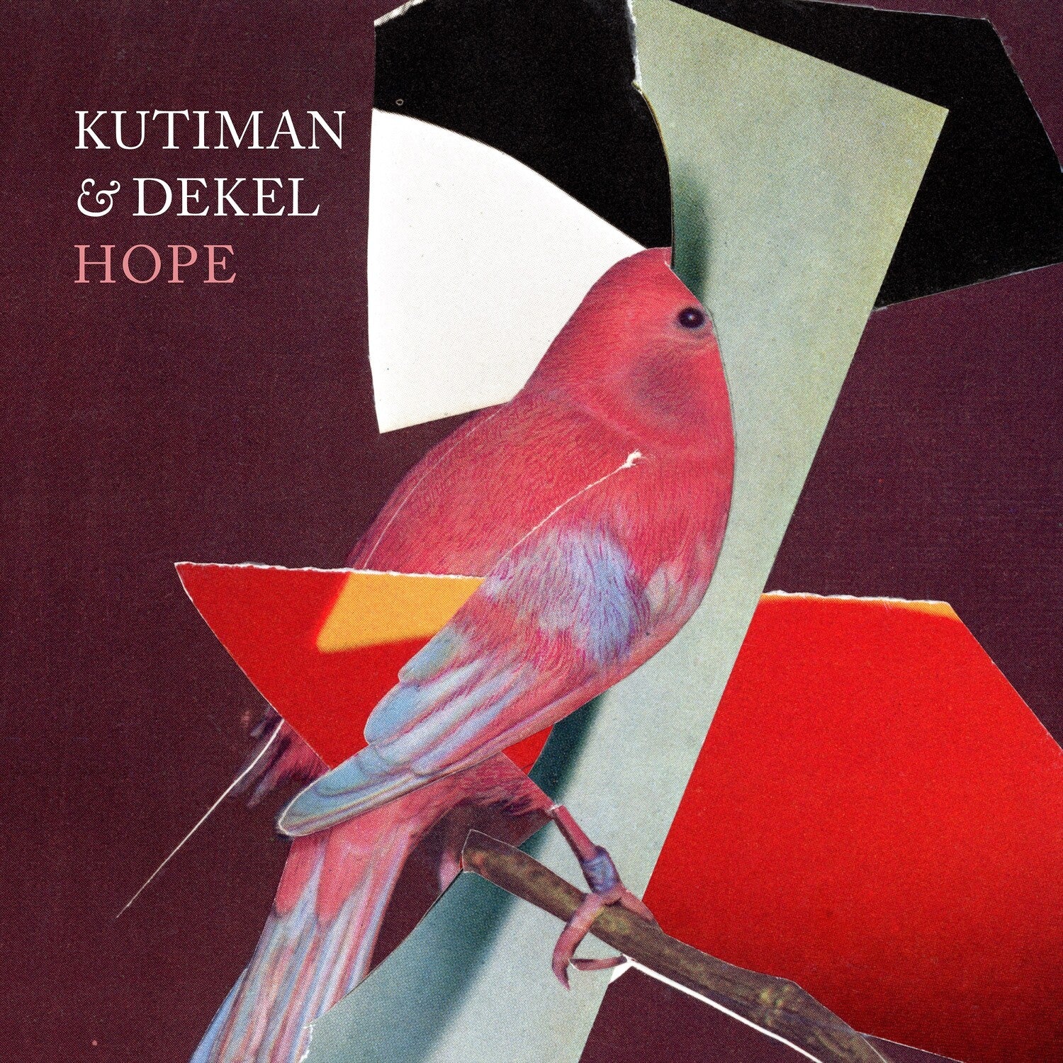 4503142-3551328_811ec534-4a81-4289-a31b-22326e2cd06f.jpg