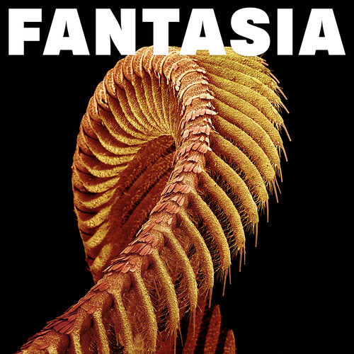 SLIFT - Fantasia - Yellow