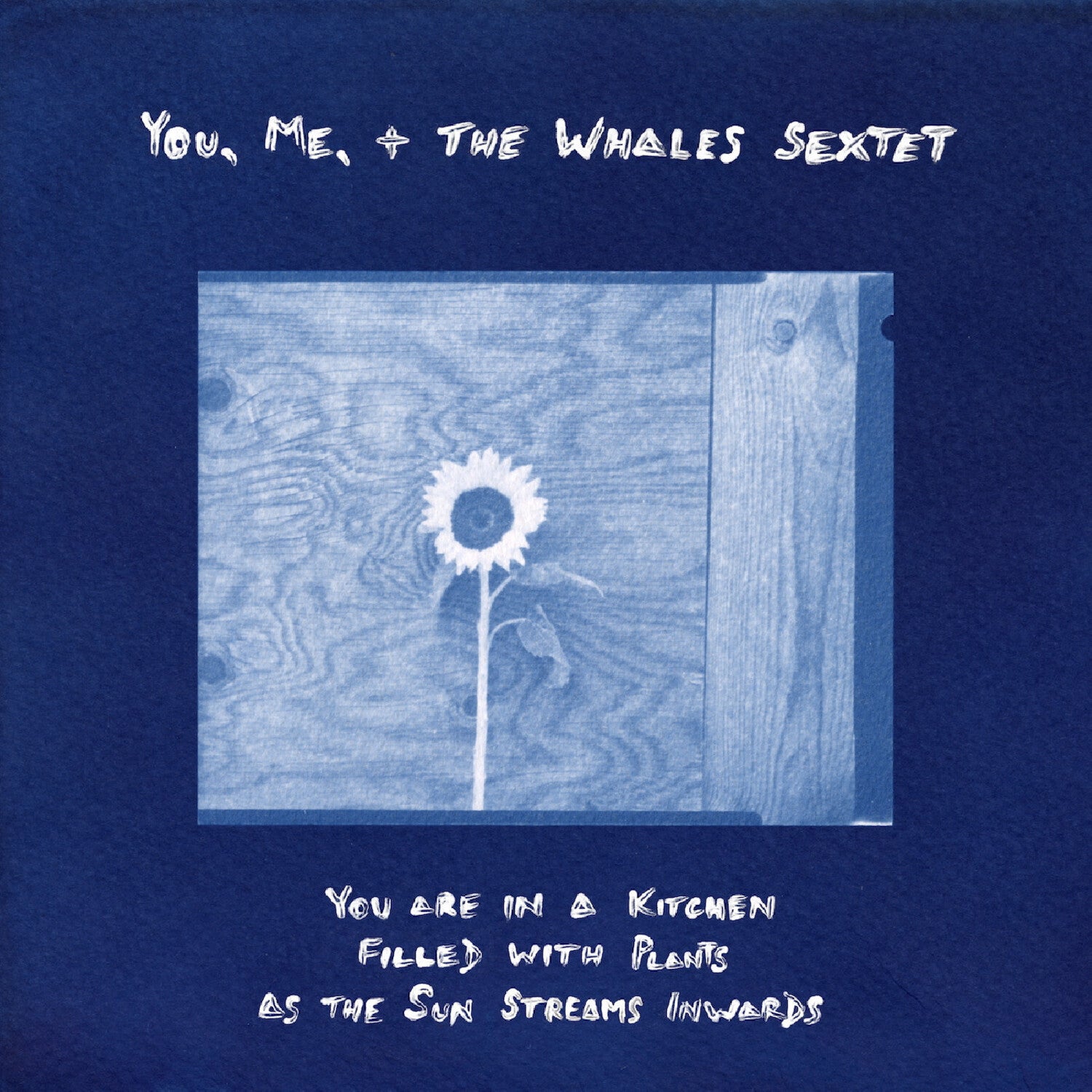 Me, + the Whales Sextet You - You are in a Kitchen Filled with Plants as the Sun Streams Inwards