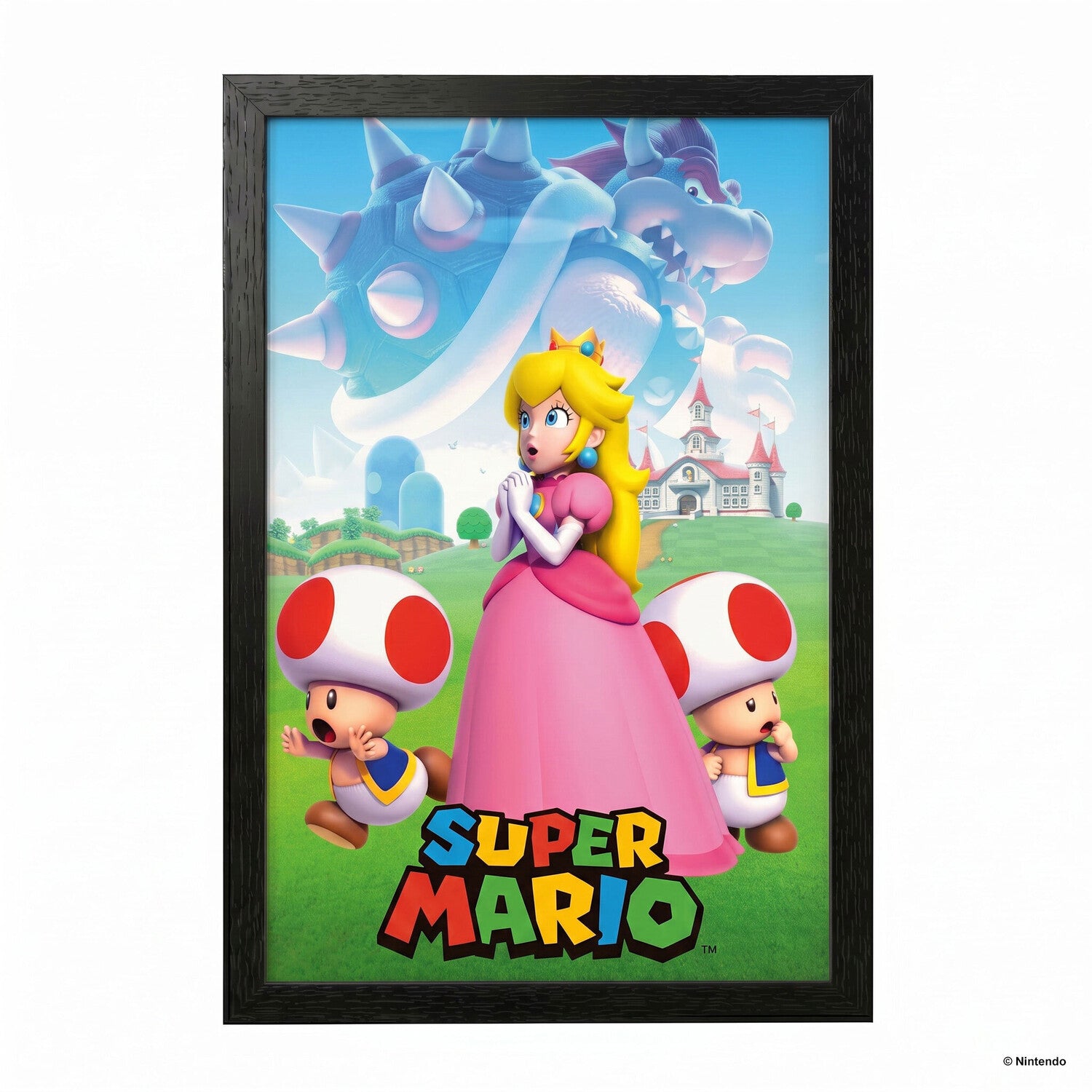 Super Mario - Princess and Toad 11x17 Framed Gel Coat