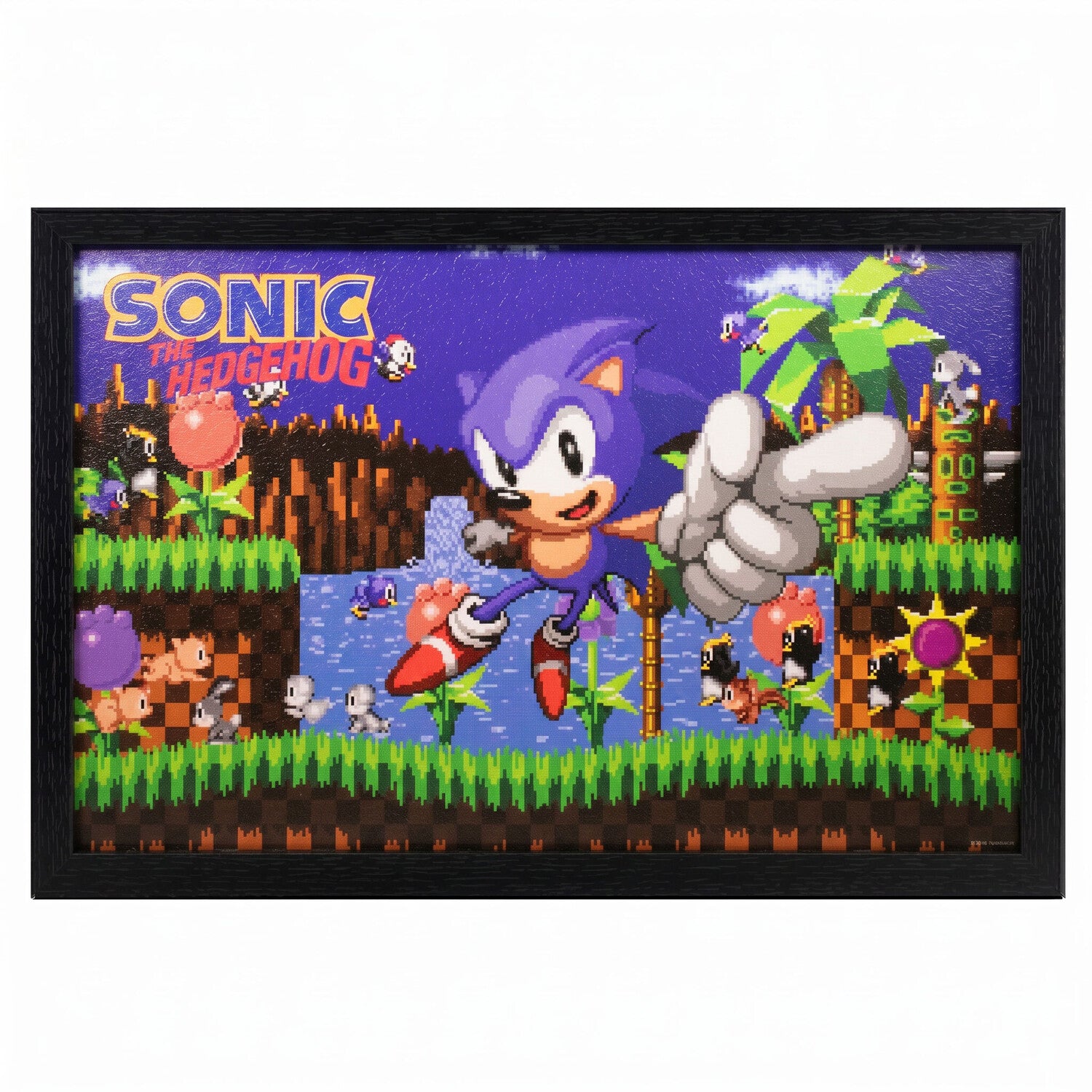 Sonic - Green Hill Zone Point 11x17 Framed Gel Coat