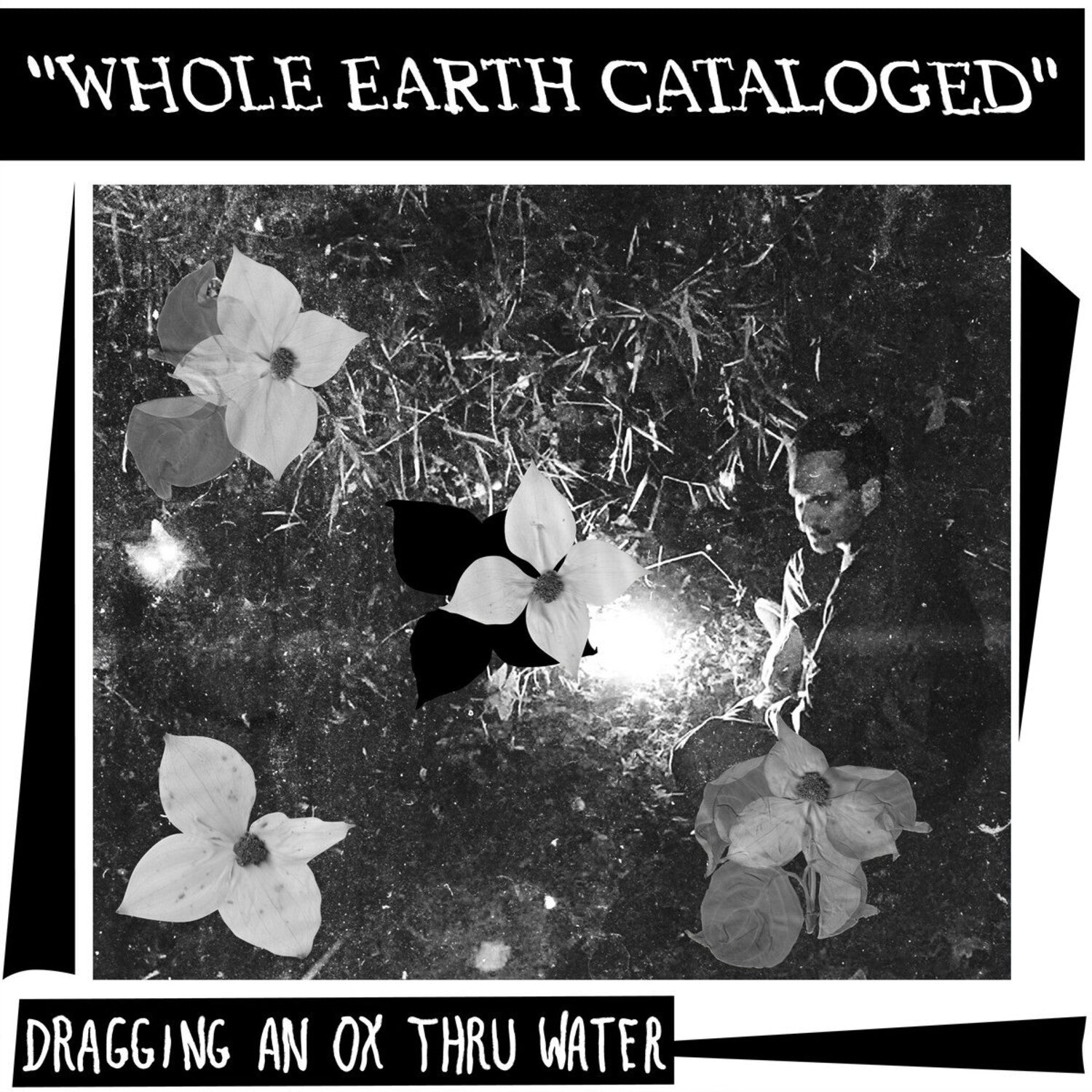 Dragging An Ox Through Water - Whole Earth Catalogued