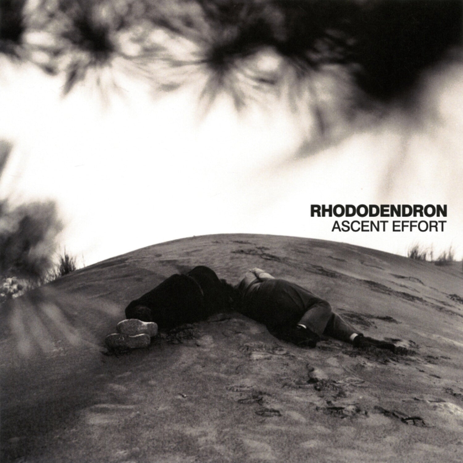 Rhododendron - Ascent Effort