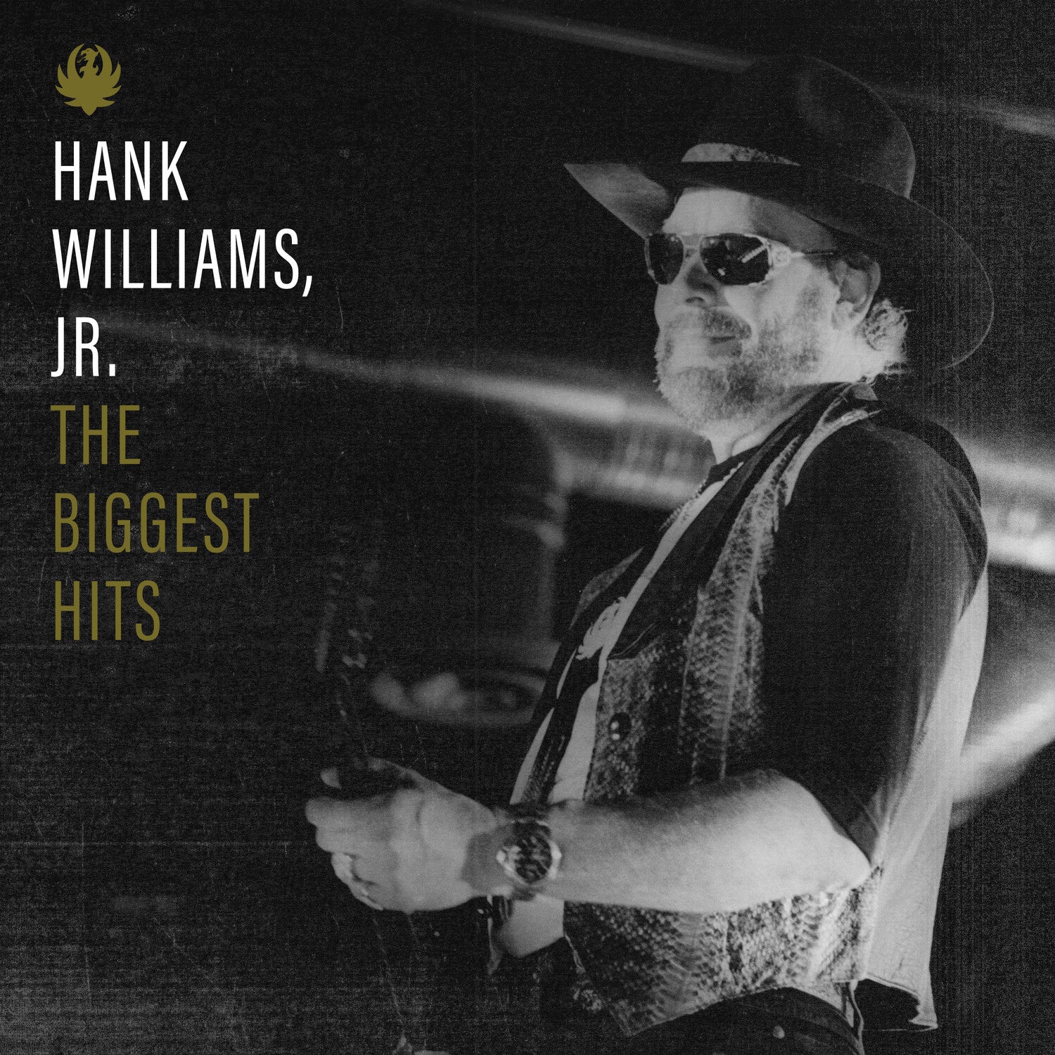 Hank Jr Williams - Biggest Hits Of Hank Williams, Jr.