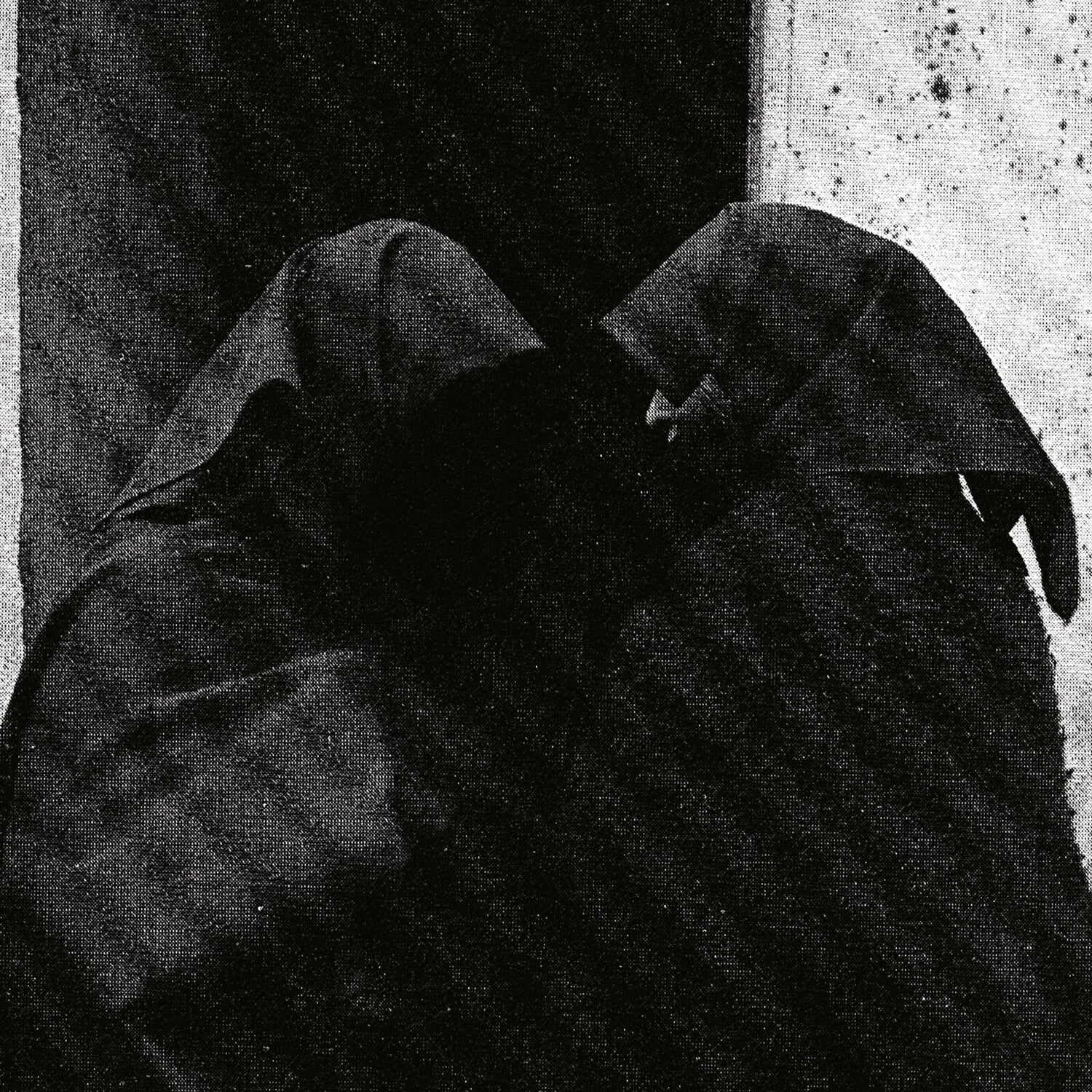 Downfall of Nur - And The Firmament Will Burn To Quench The Pain Of This Earth 2xLP
