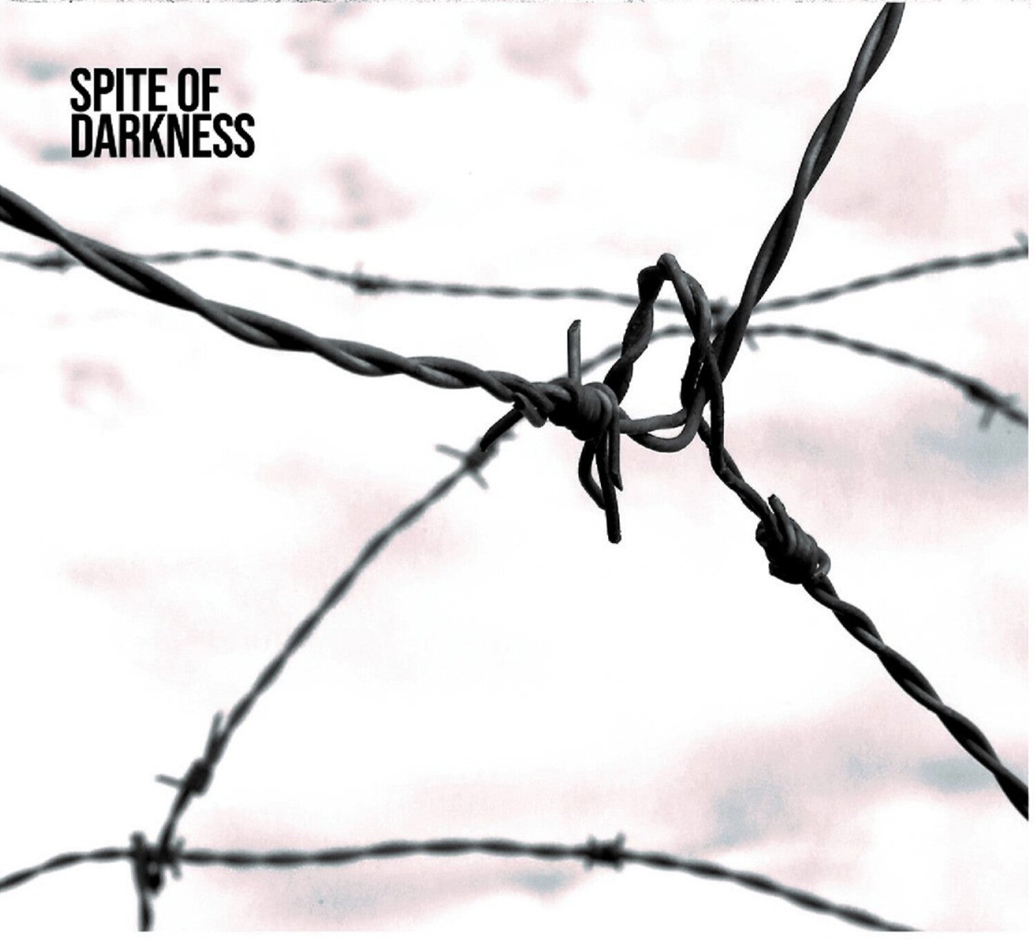 Spite of Darkness