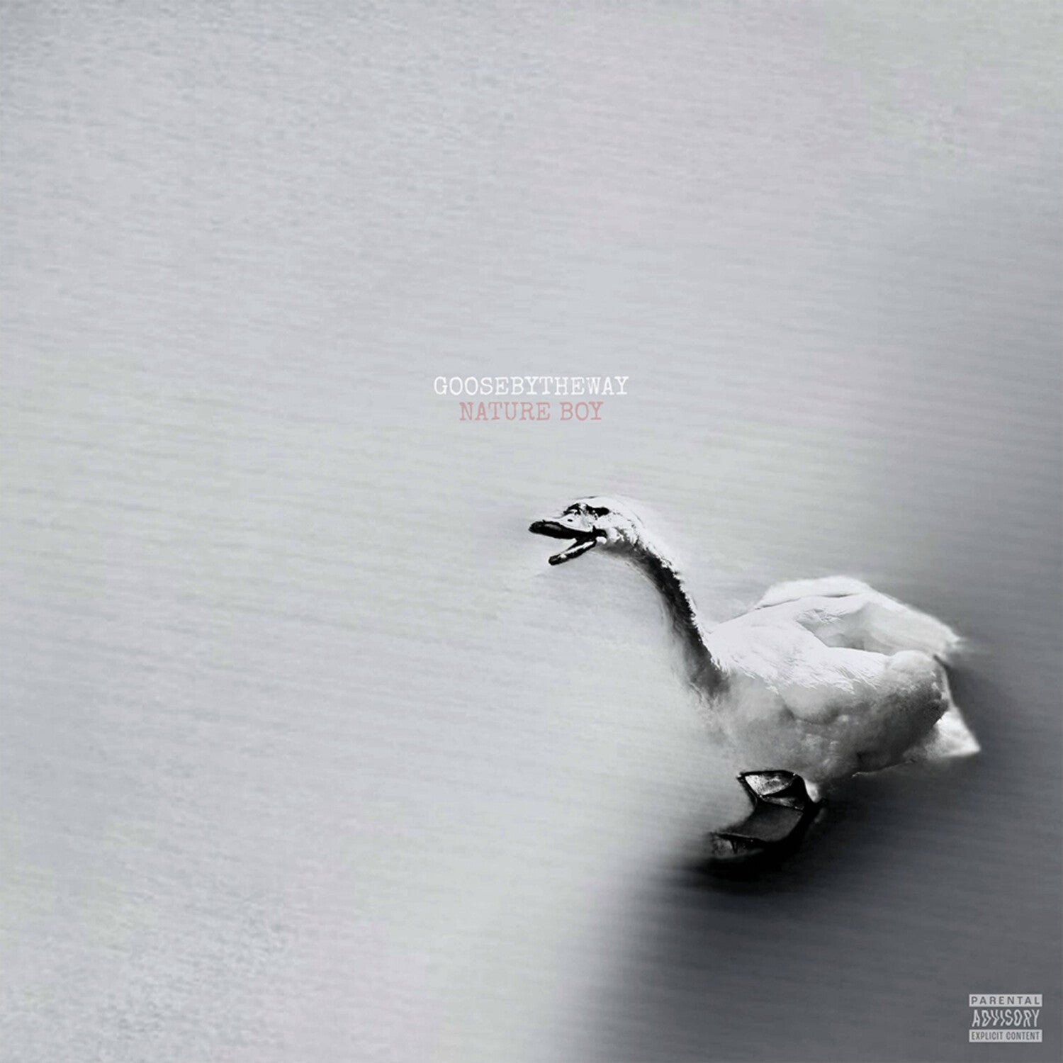 Goosebytheway - Nature Boy - White (White Vinyl)