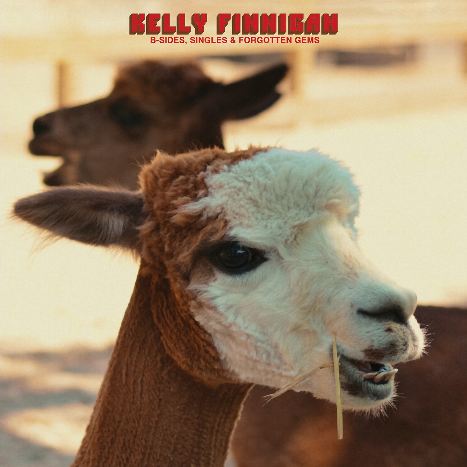 Kelly Finnigan - B-Sides, Singles & Forgotten Gems (Cassette)