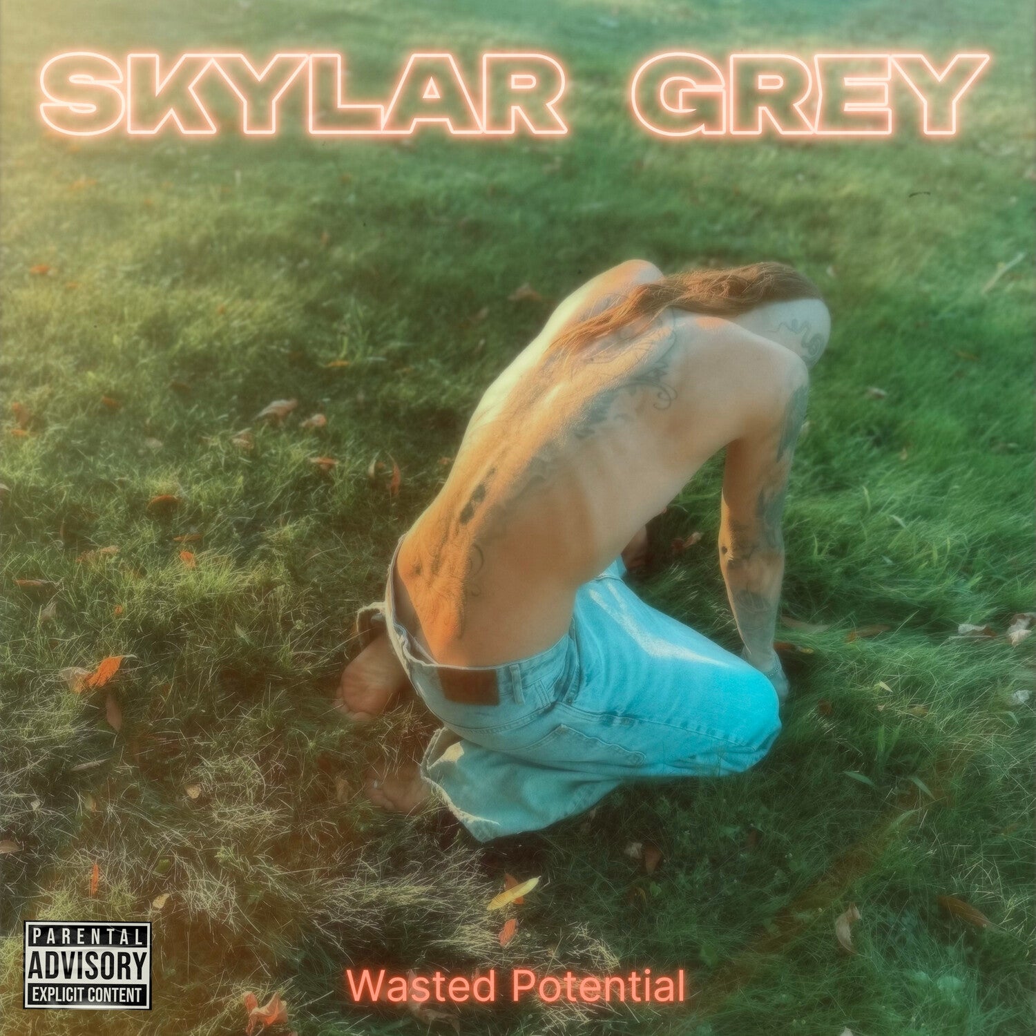 Skylar Grey - Wasted Potential (CD)