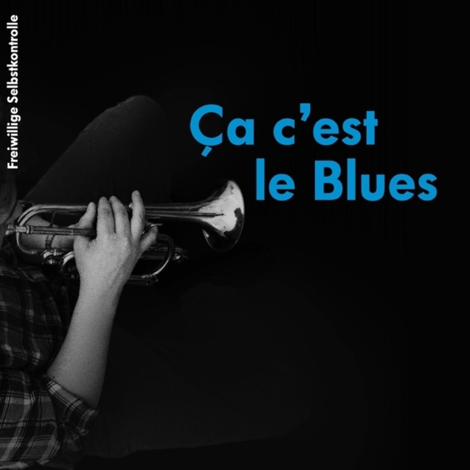 Fsk (Freiwillige Selbstkontrolle) - Ca C'est Le Blues — vinyl LP album cover